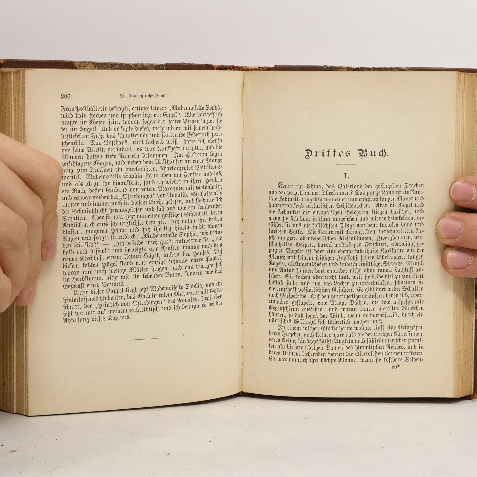 Ernst Elster Heinrich Heines Sämtliche Werke 5