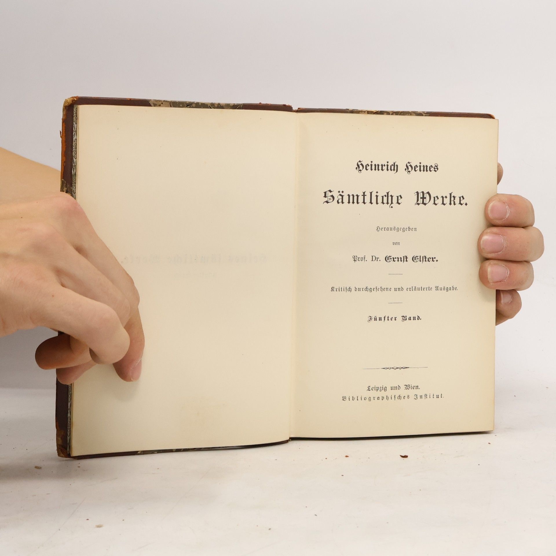 Ernst Elster Heinrich Heines Sämtliche Werke 5