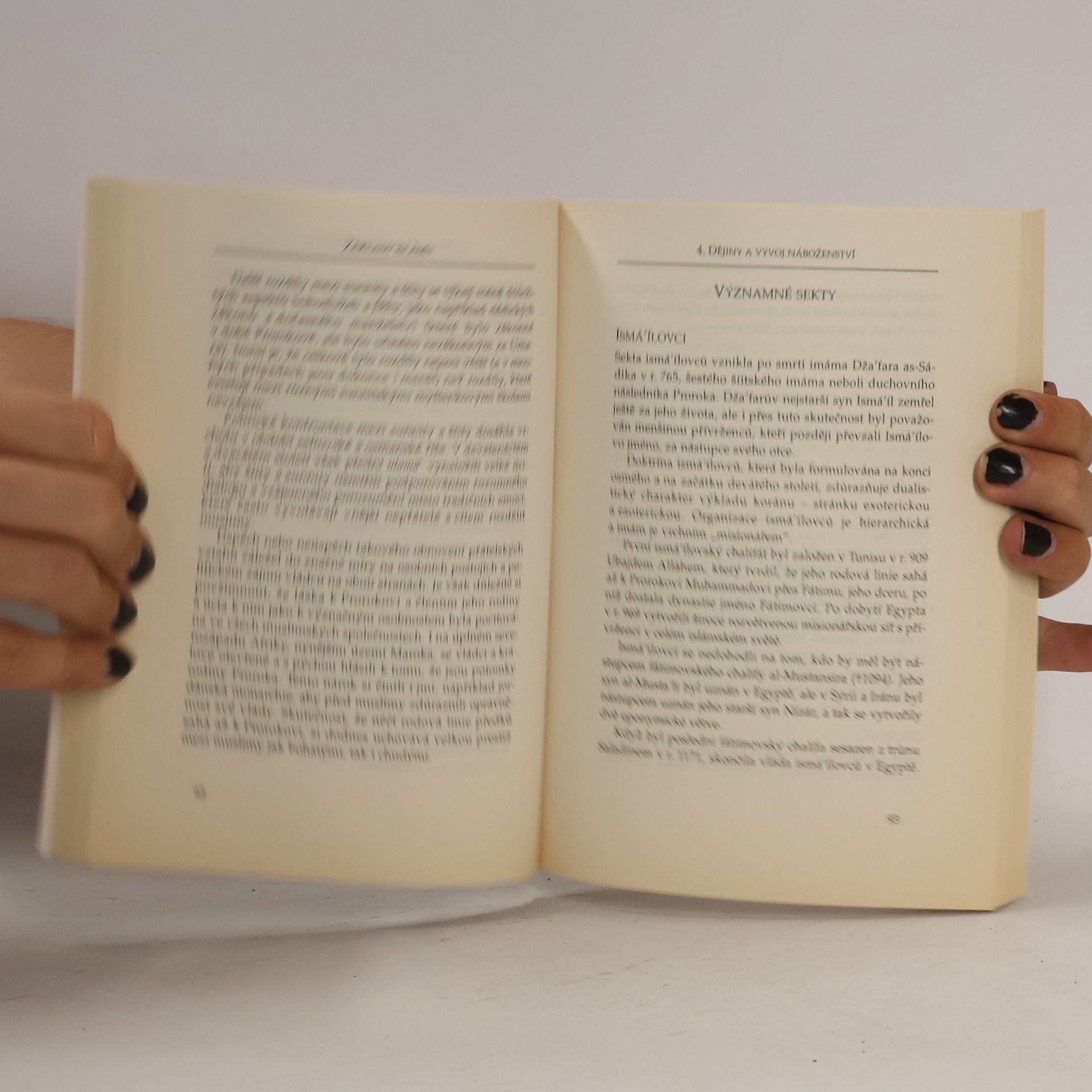 Fadhlalla Haeri Základy islámu. Tradice, historie, vývoj, současnost