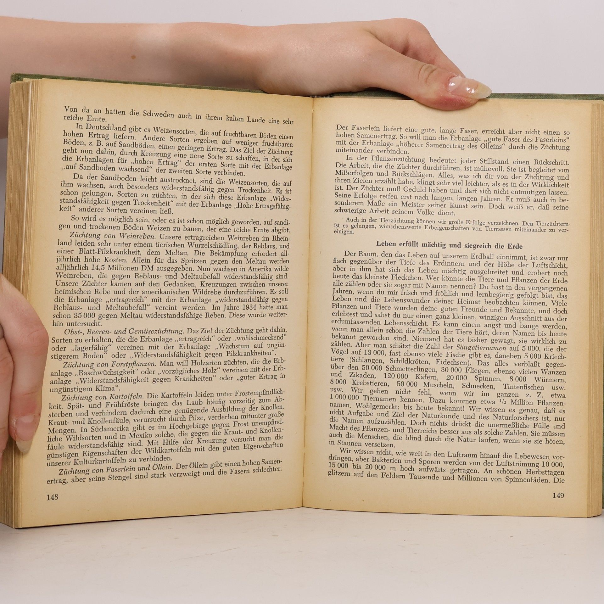 Auteurscollectief Kamps neues Realienbuch