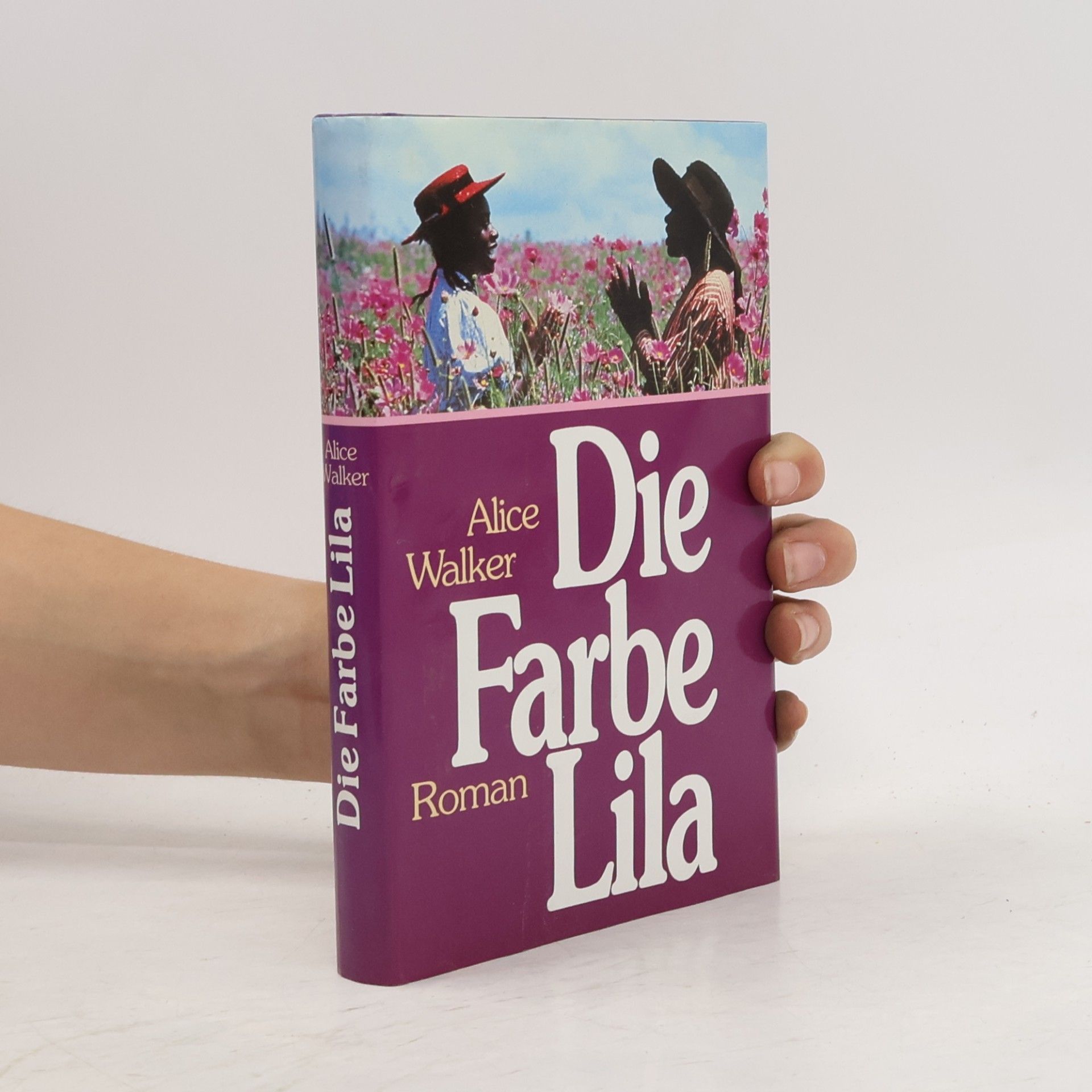 Alice Walker Die Farbe Lila