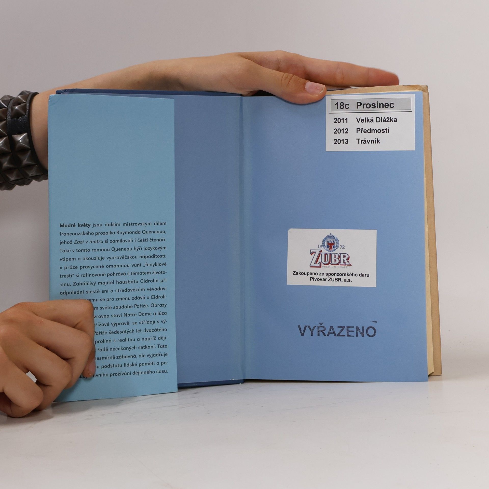 Raymond Queneau Modré květy