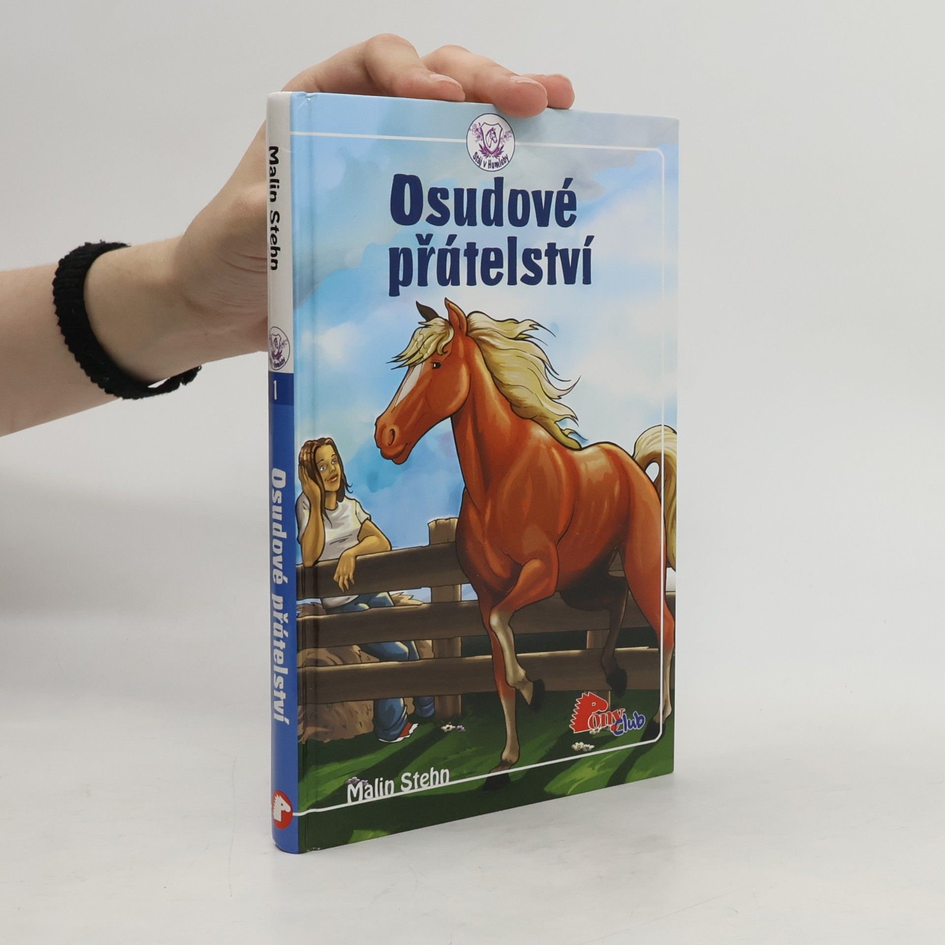 Malin Stehn Osudové přátelství