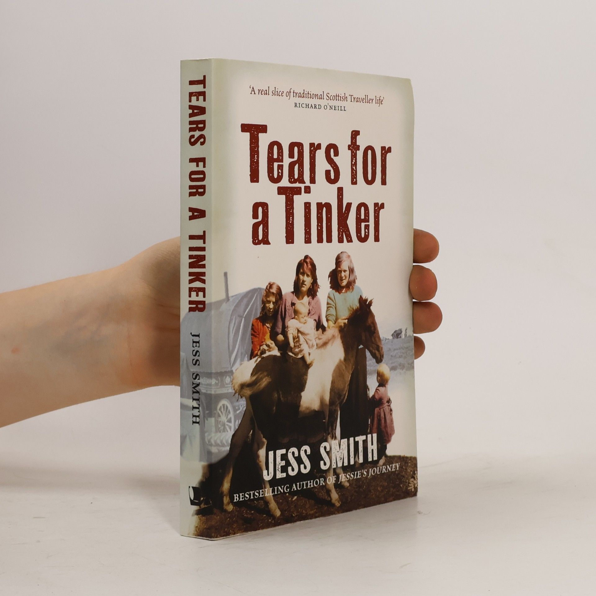 Jessica Smith Tears for a Tinker