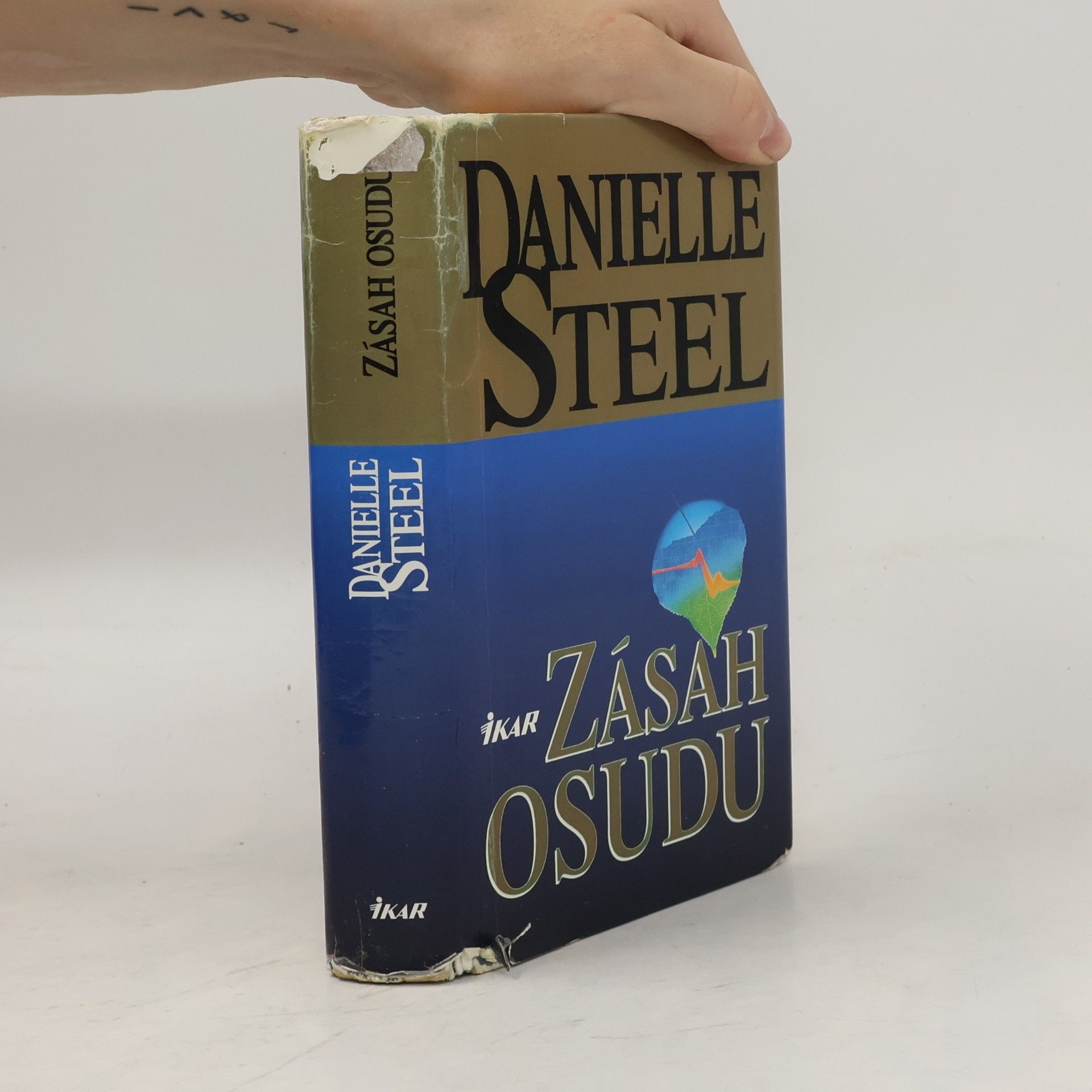 Danielle Steel Zásah osudu