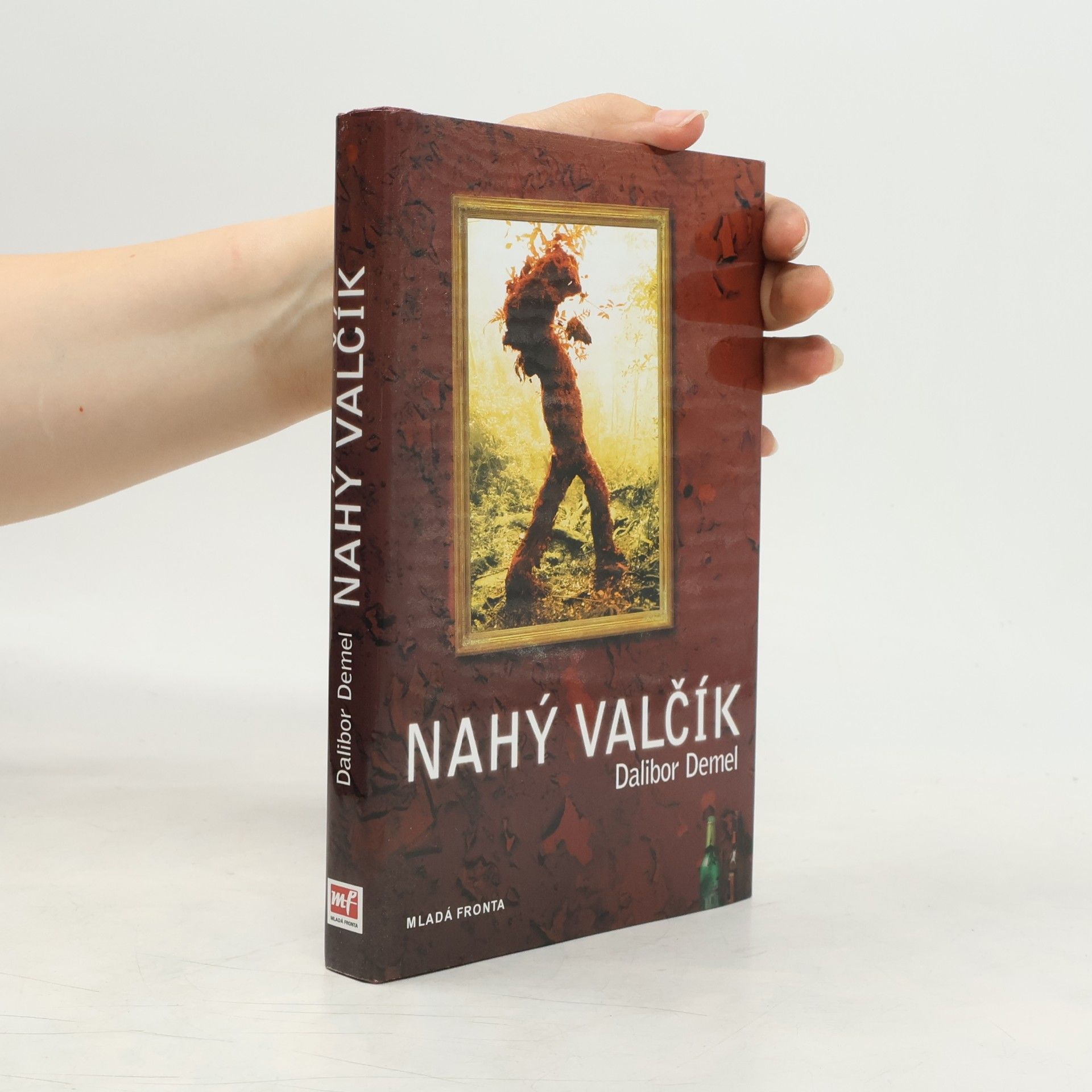 Dalibor Demel Nahý valčík