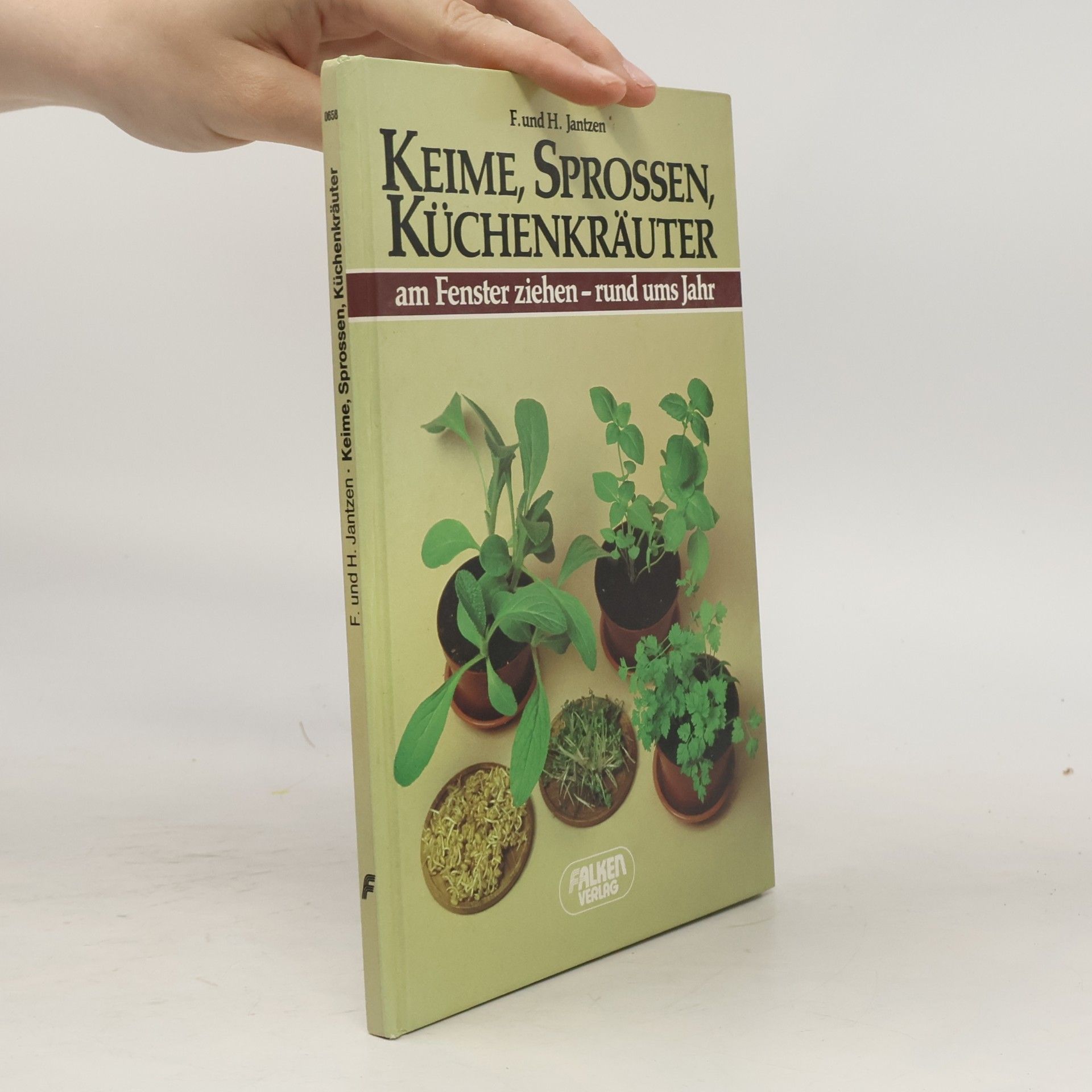 Friedrich Jantzen Keime, Sprossen, Küchenkräuter am Fenster ziehen - rund ums Jahr