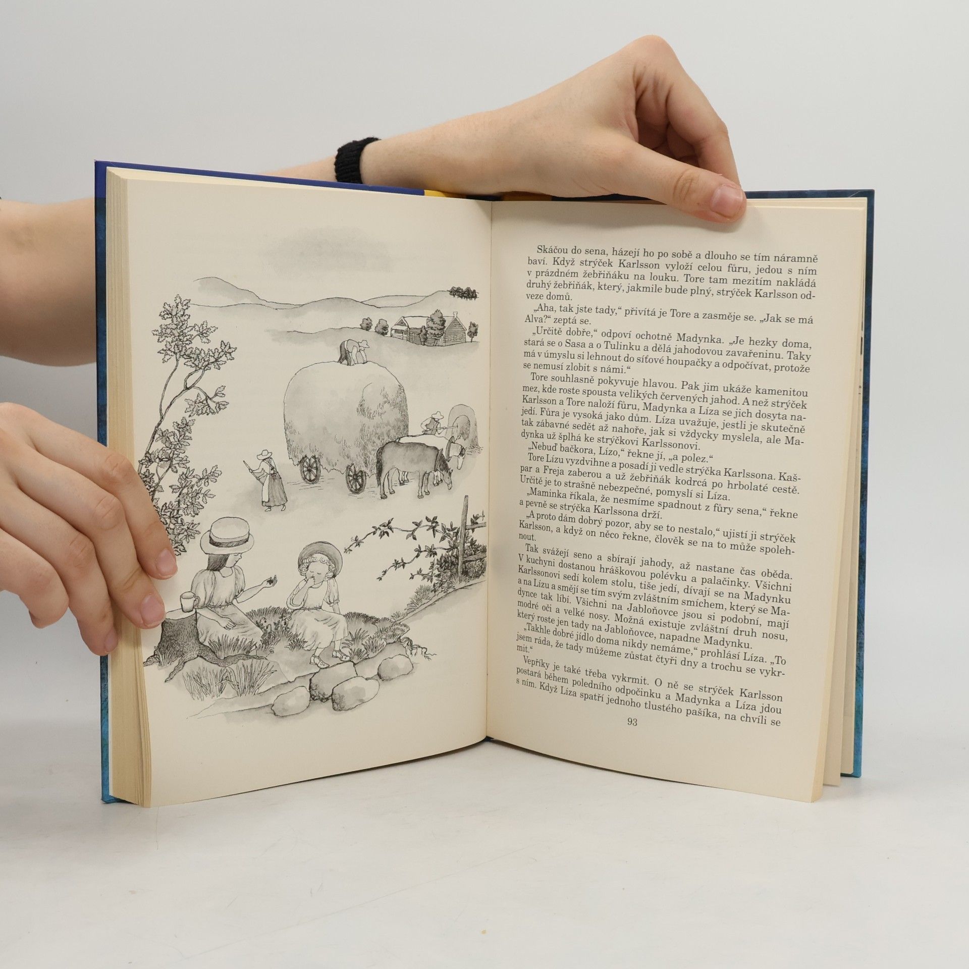 Astrid Lindgren Madynka zachránkyně