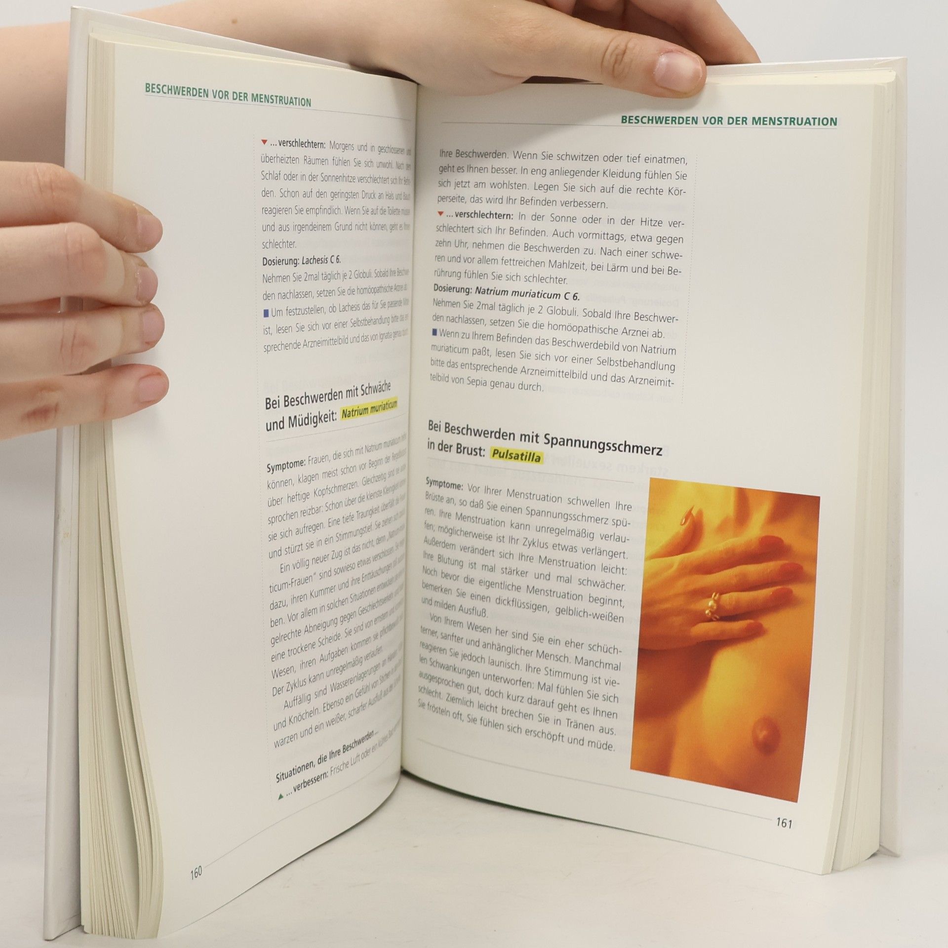 Collectif d'auteurs Das neue grosse Buch der Homöopathie