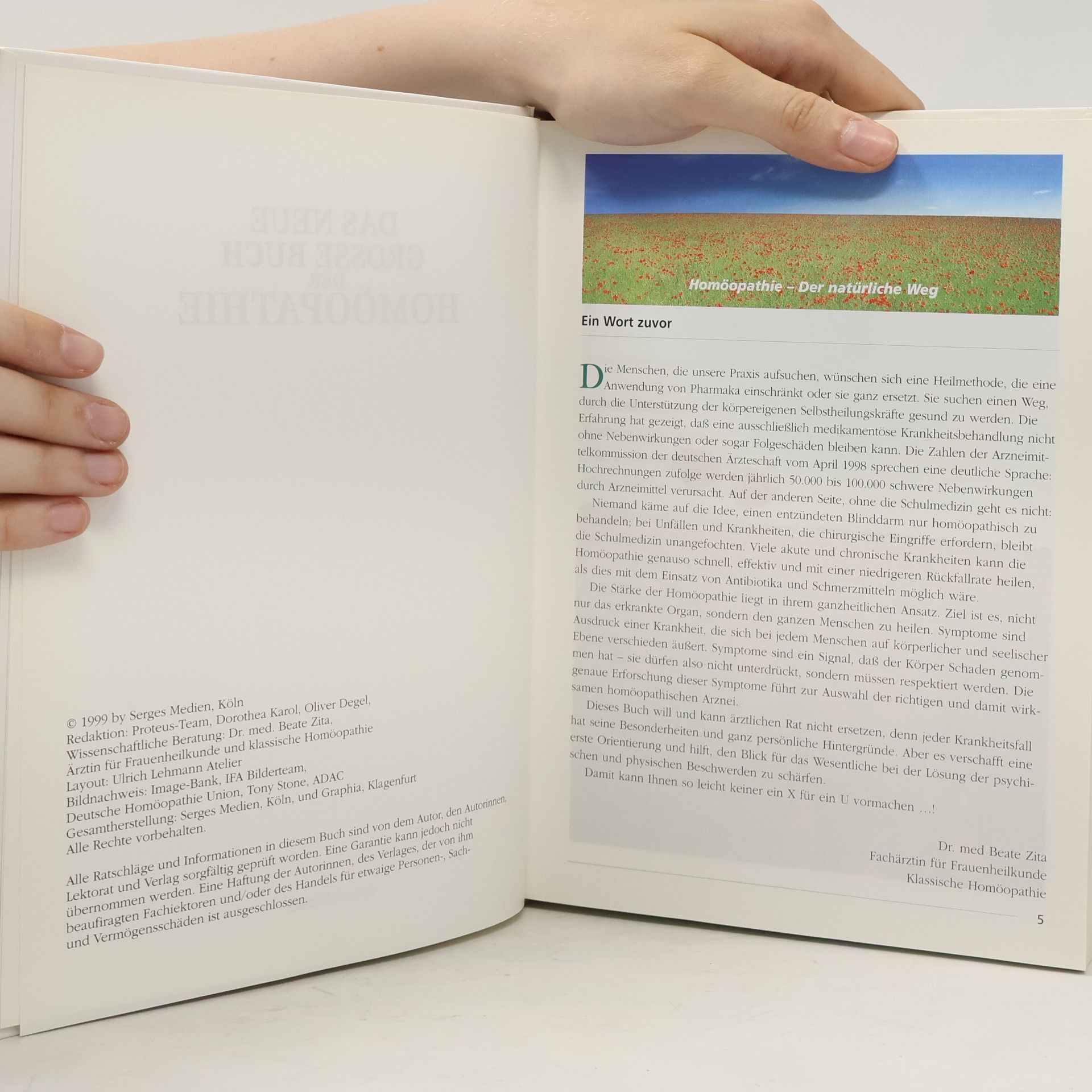 Collectif d'auteurs Das neue grosse Buch der Homöopathie