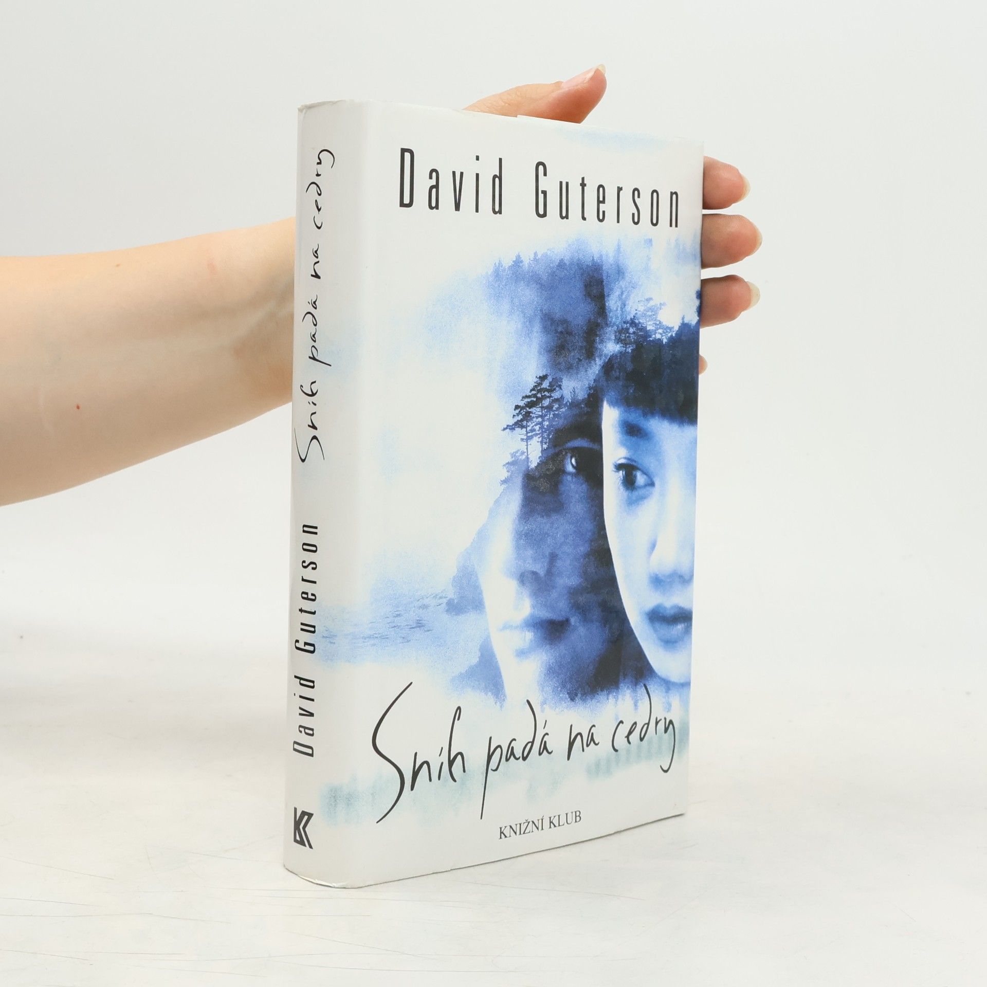 David Guterson Sníh padá na cedry