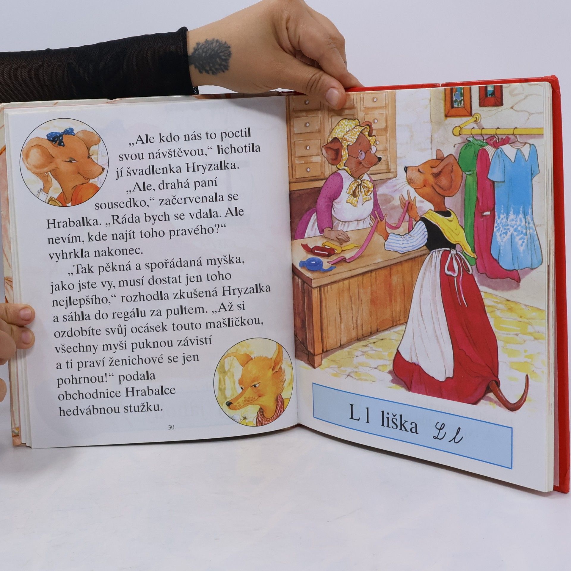 Autorenkollektiv Pohádkový slabikář. Šípková Růženka a jiné pohádky