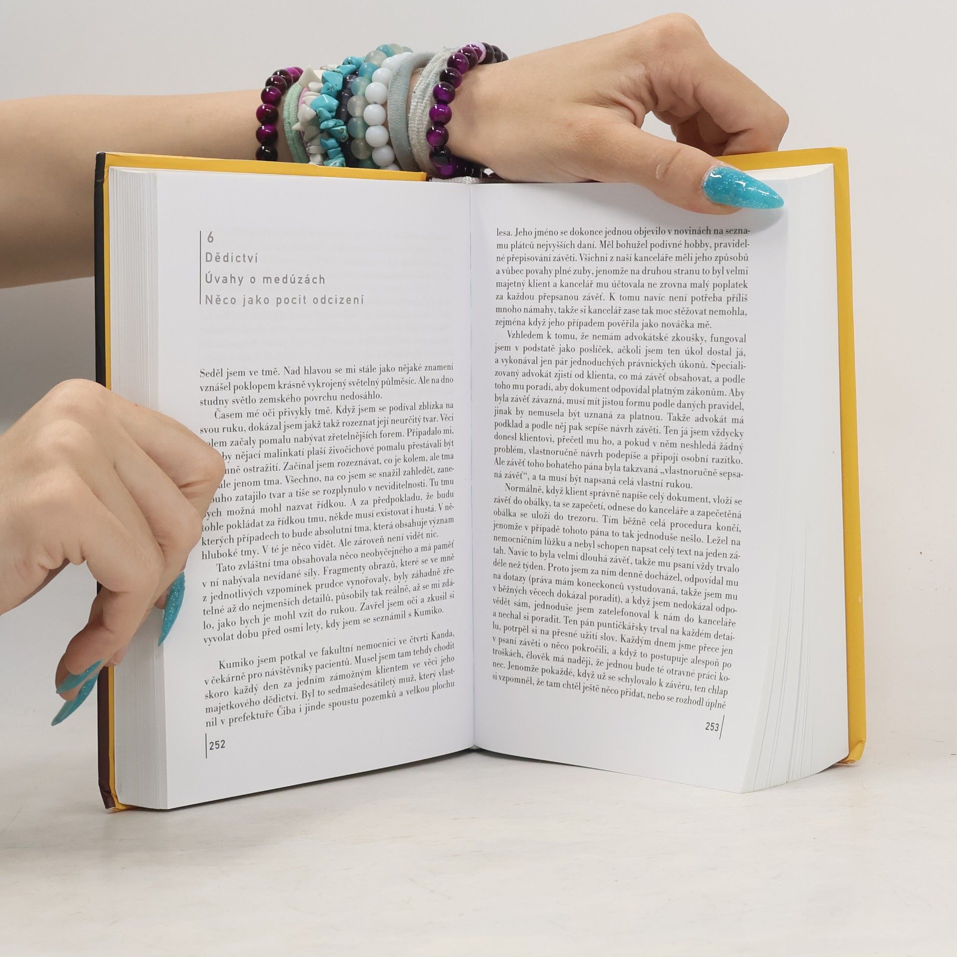Haruki Murakami Kronika ptáčka na klíček