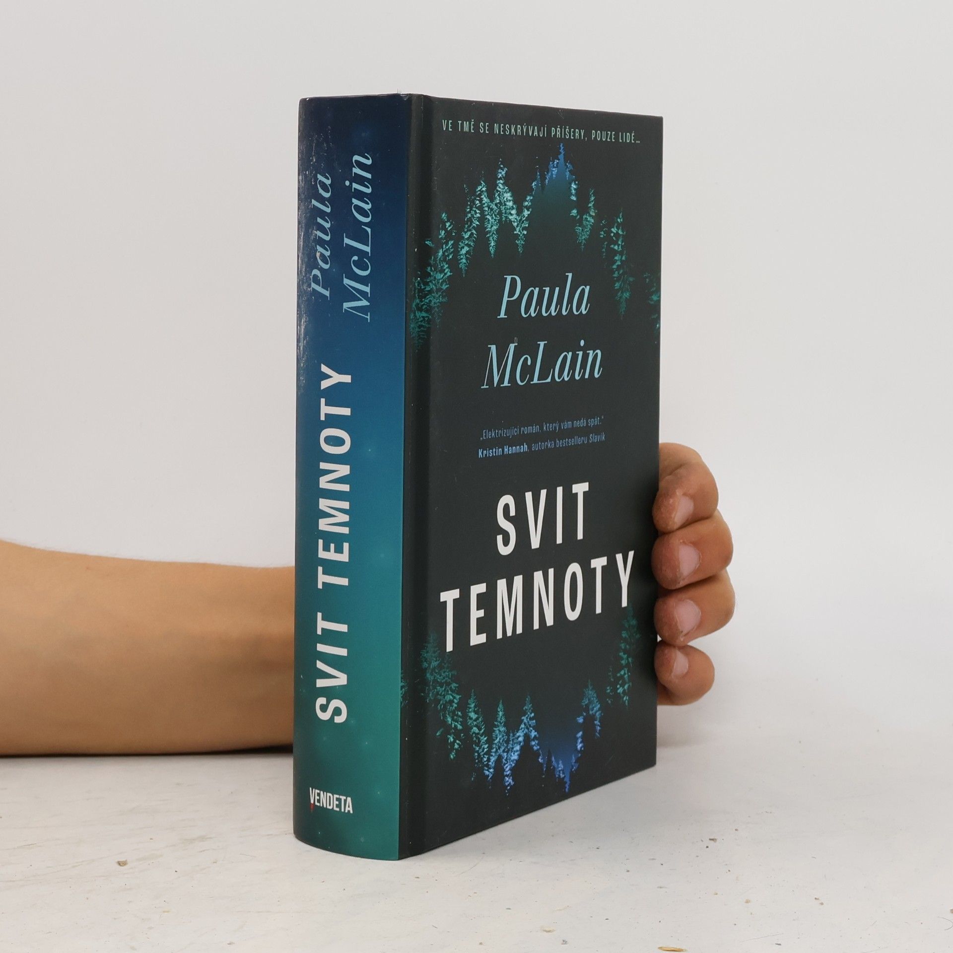 Paula McLain Svit temnoty