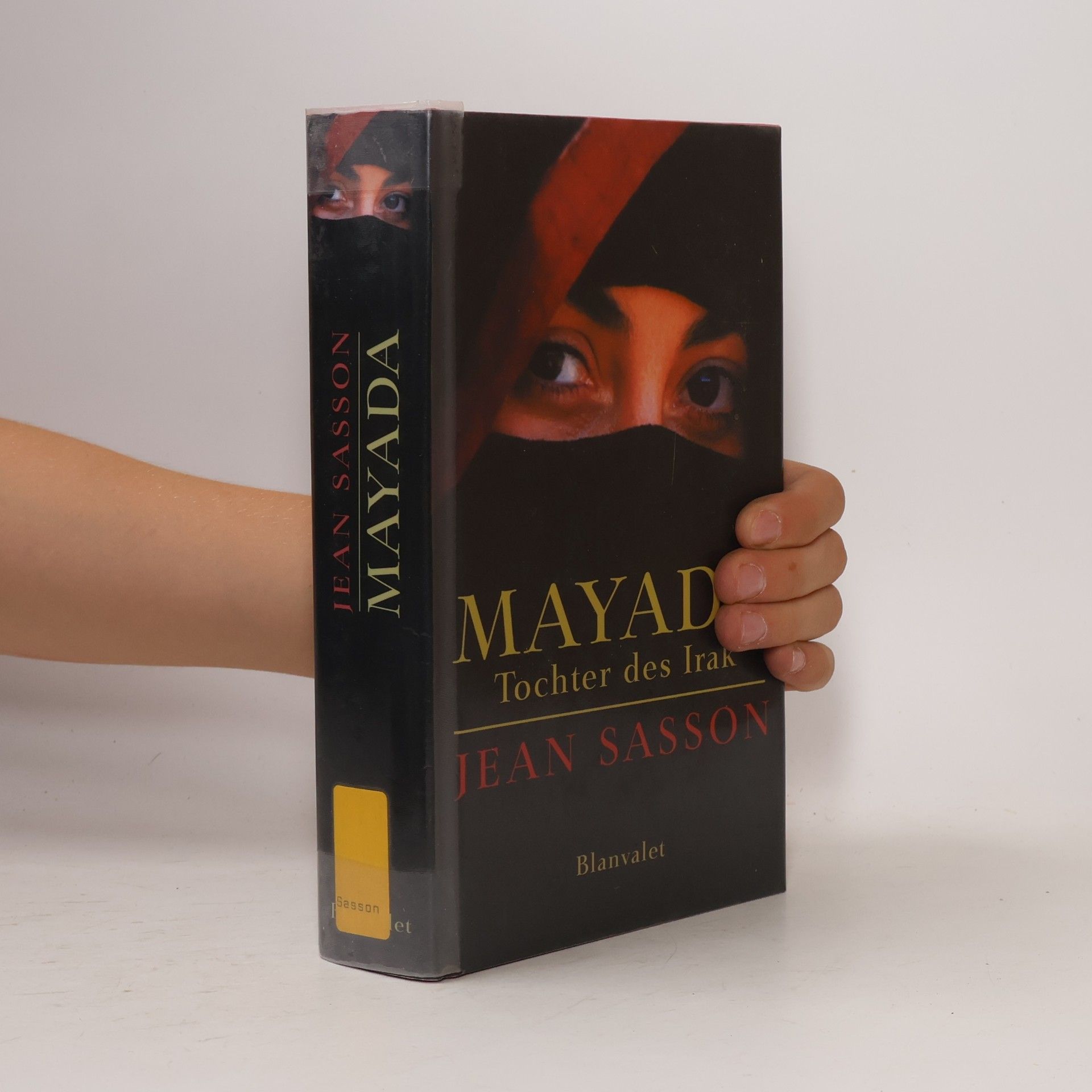 Jean Sasson Mayada - Tochter des Irak
