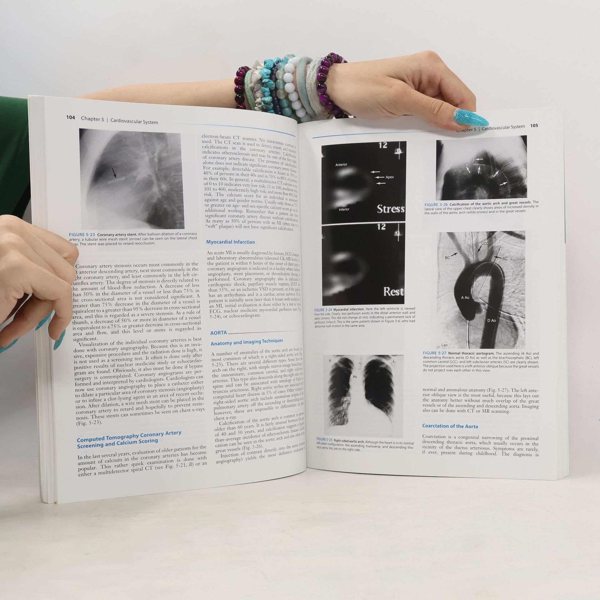 Fred A. Mettler Jr. Essentials of Radiology