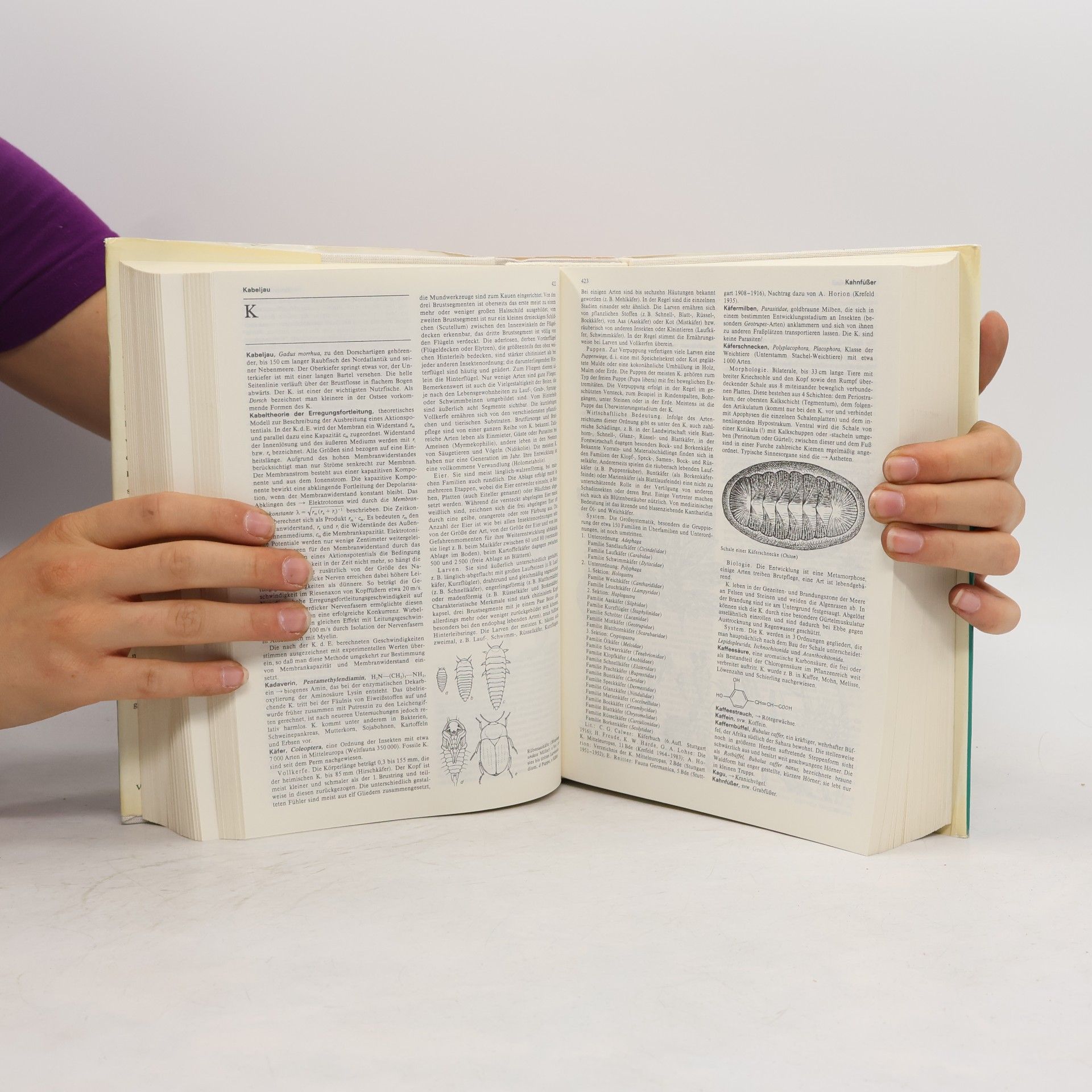Autorenkollektiv Fachlexikon ABC Biologie