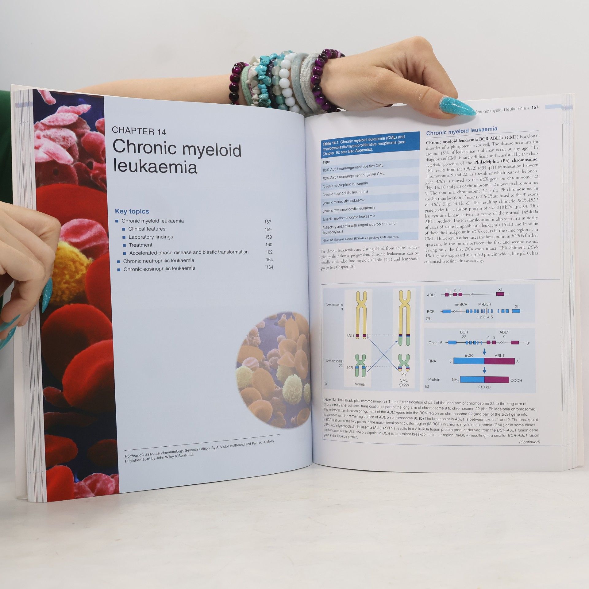 A. V. Hoffbrand Hoffbrand's Essential Haematology