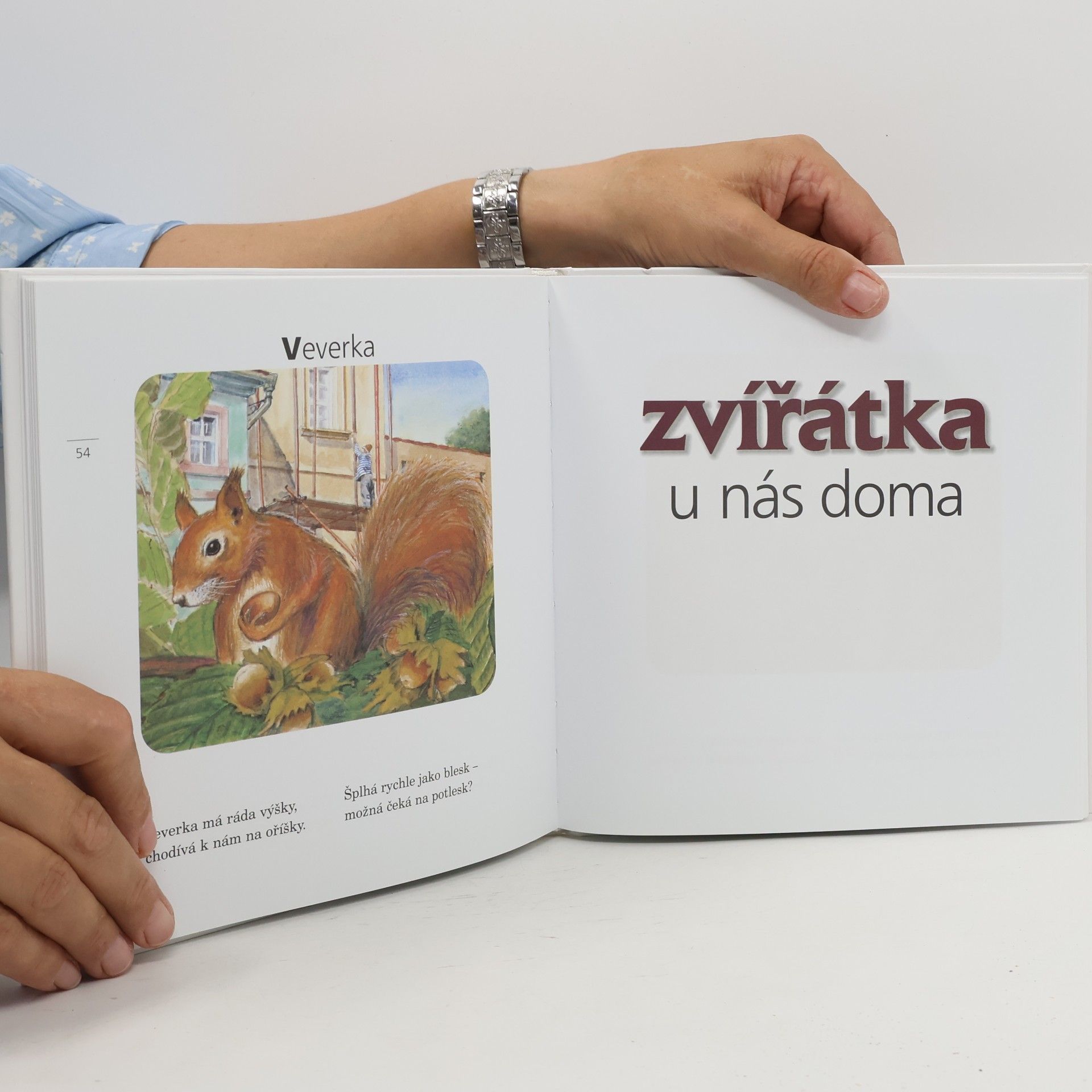 Jiří Žáček Kamarádi zvířátka