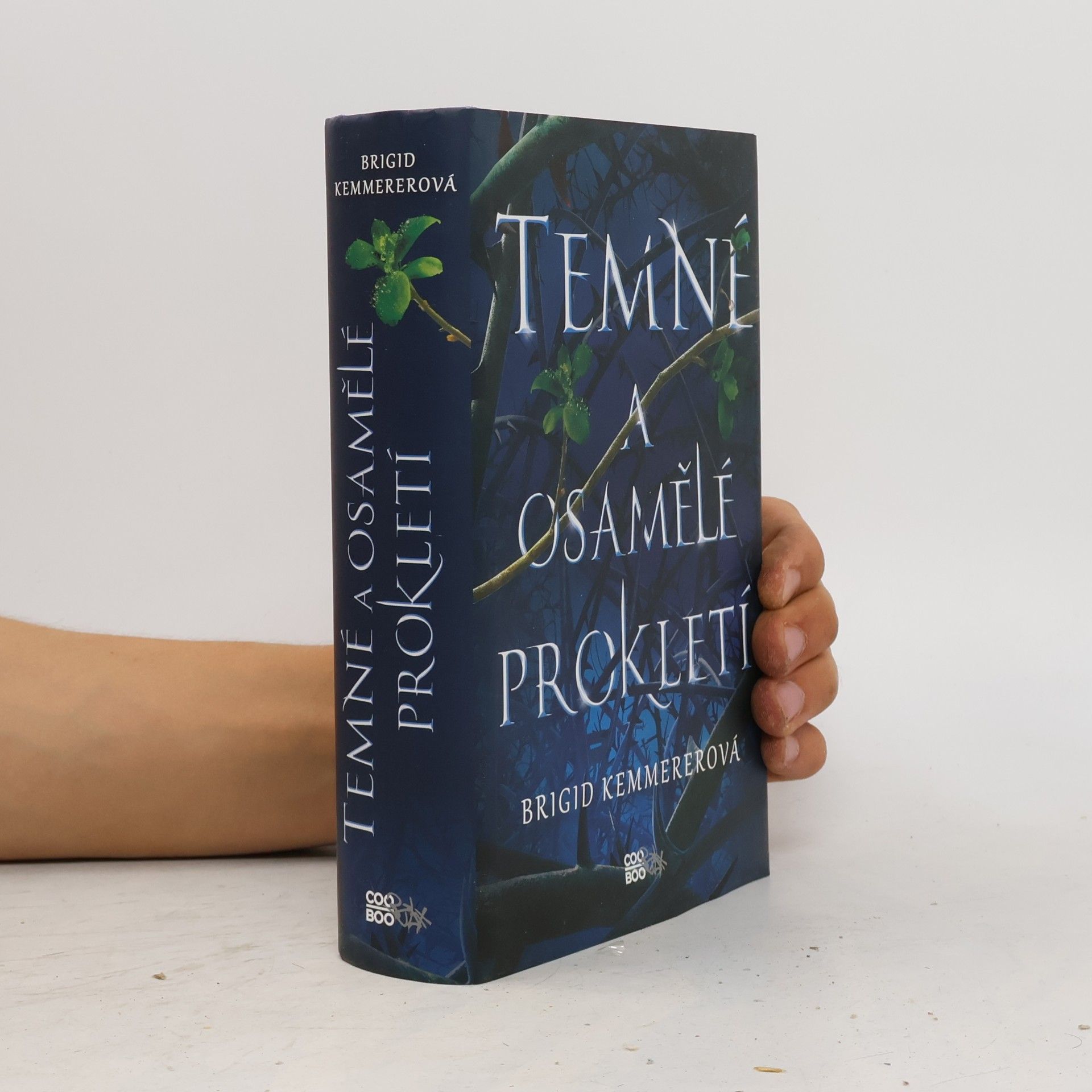Brigid Kemmerer Temné a osamělé prokletí
