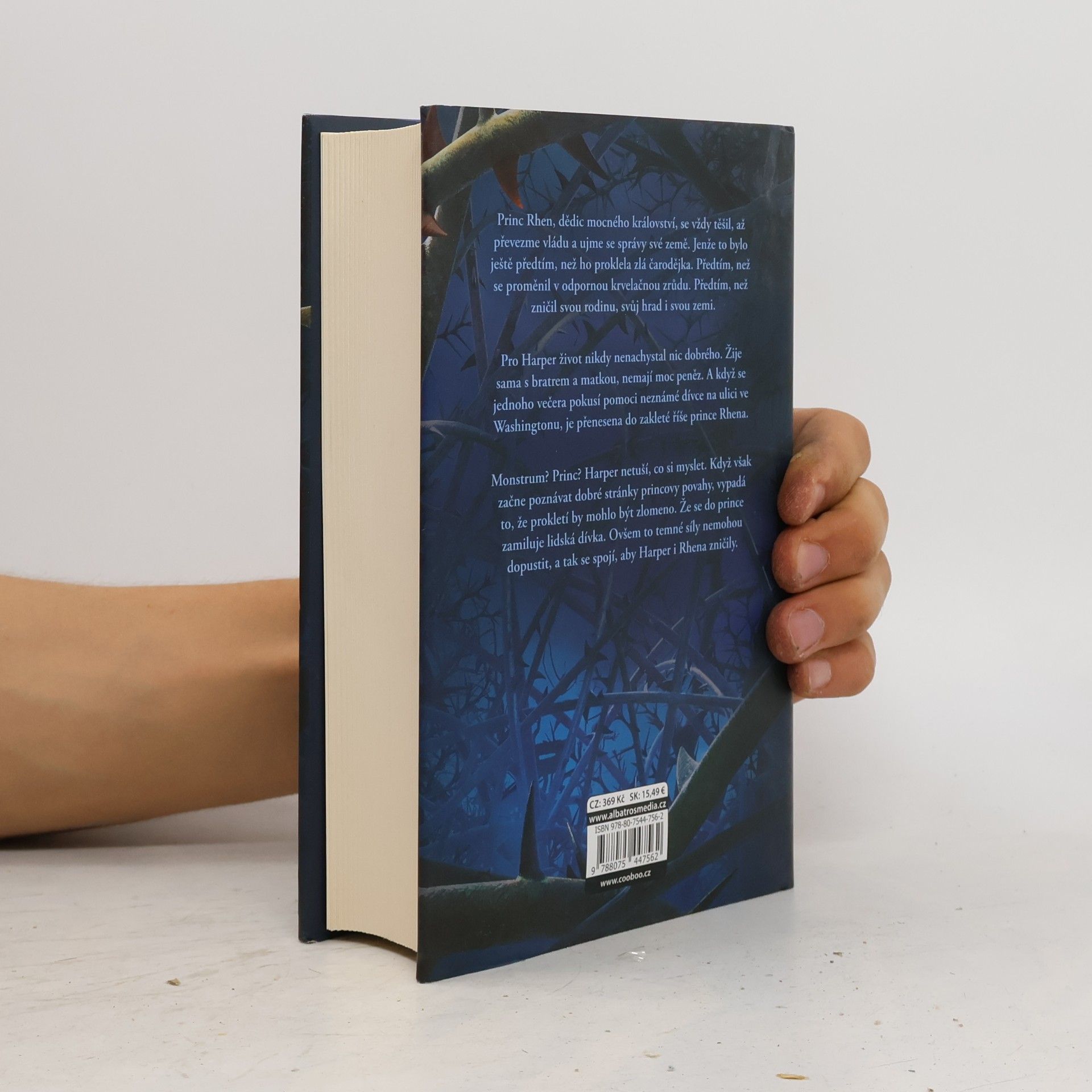 Brigid Kemmerer Temné a osamělé prokletí