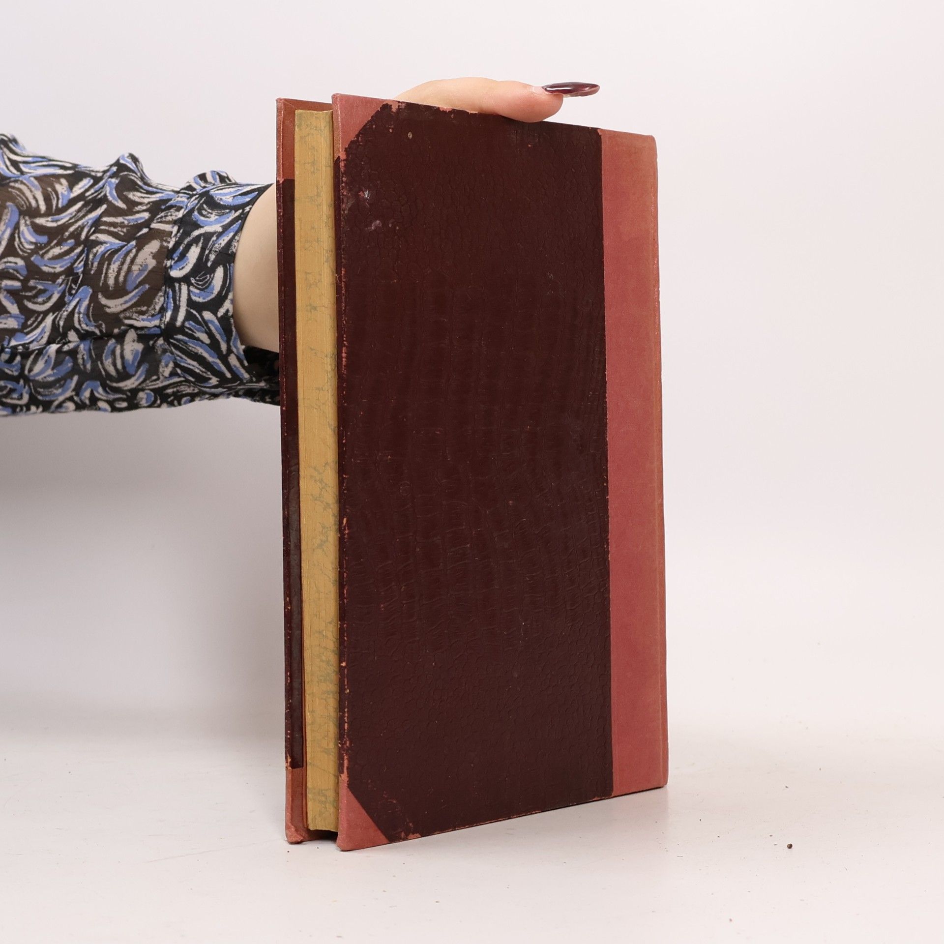 Karel Tůma Z českých mlýnů III.