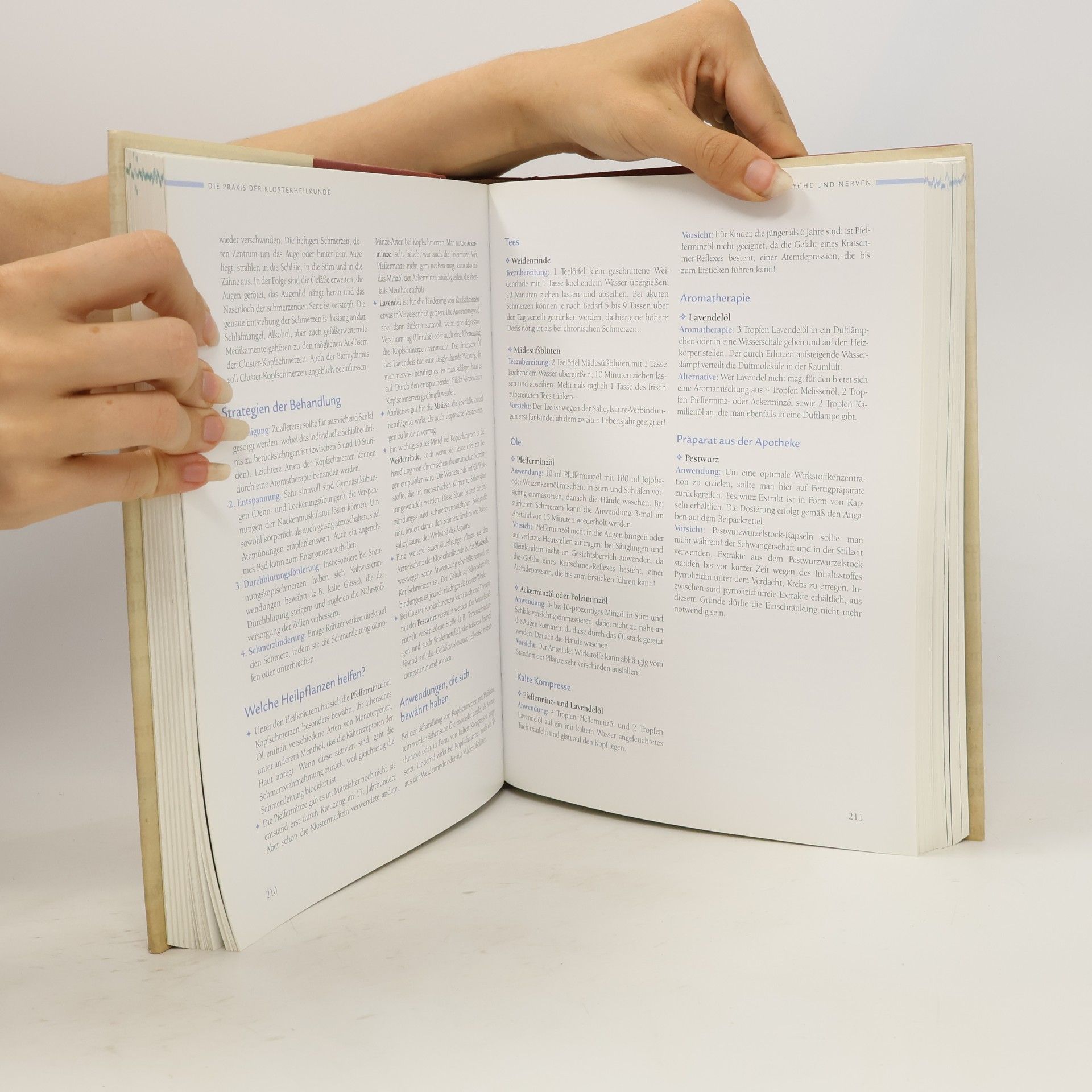 Johannes Gottfried Mayer Das große Handbuch der Klosterheilkunde
