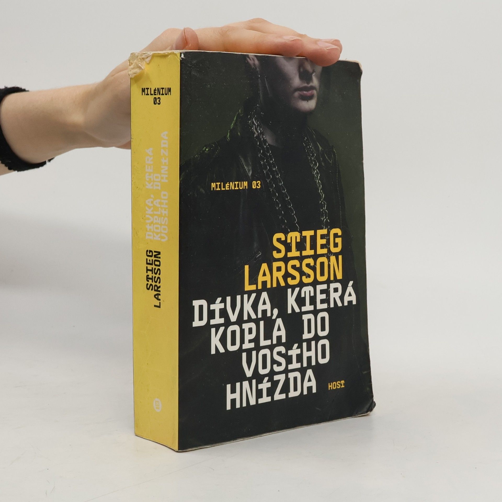 Stieg Larsson Dívka, která kopla do vosího hnízda