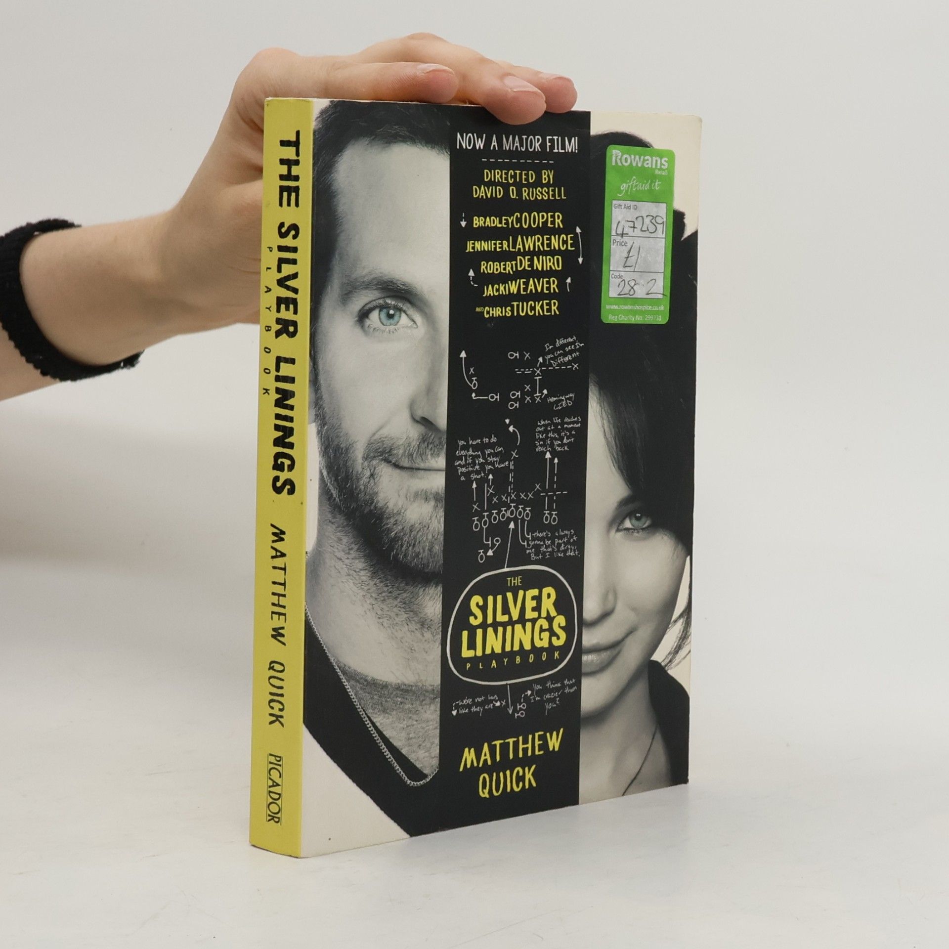 Matthew Quick Silver linings playbook