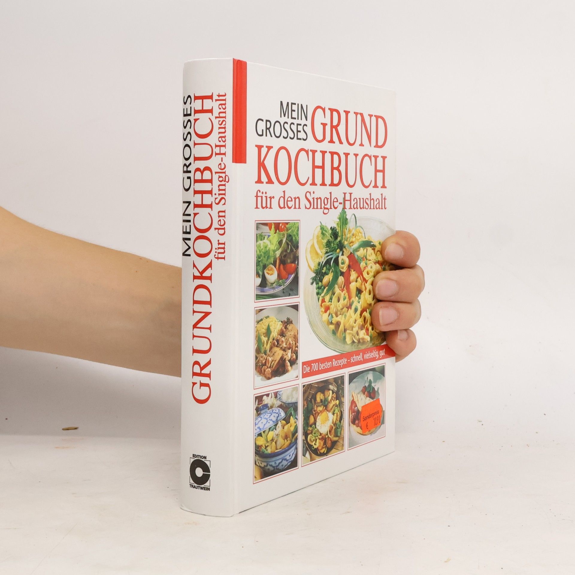Mein grosses Grundkochbuch für den Single-Haushalt