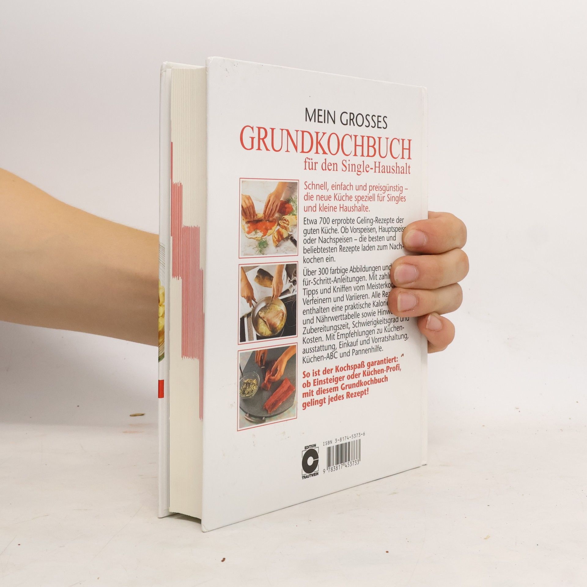 Ilse Hell Mein grosses Grundkochbuch für den Single-Haushalt