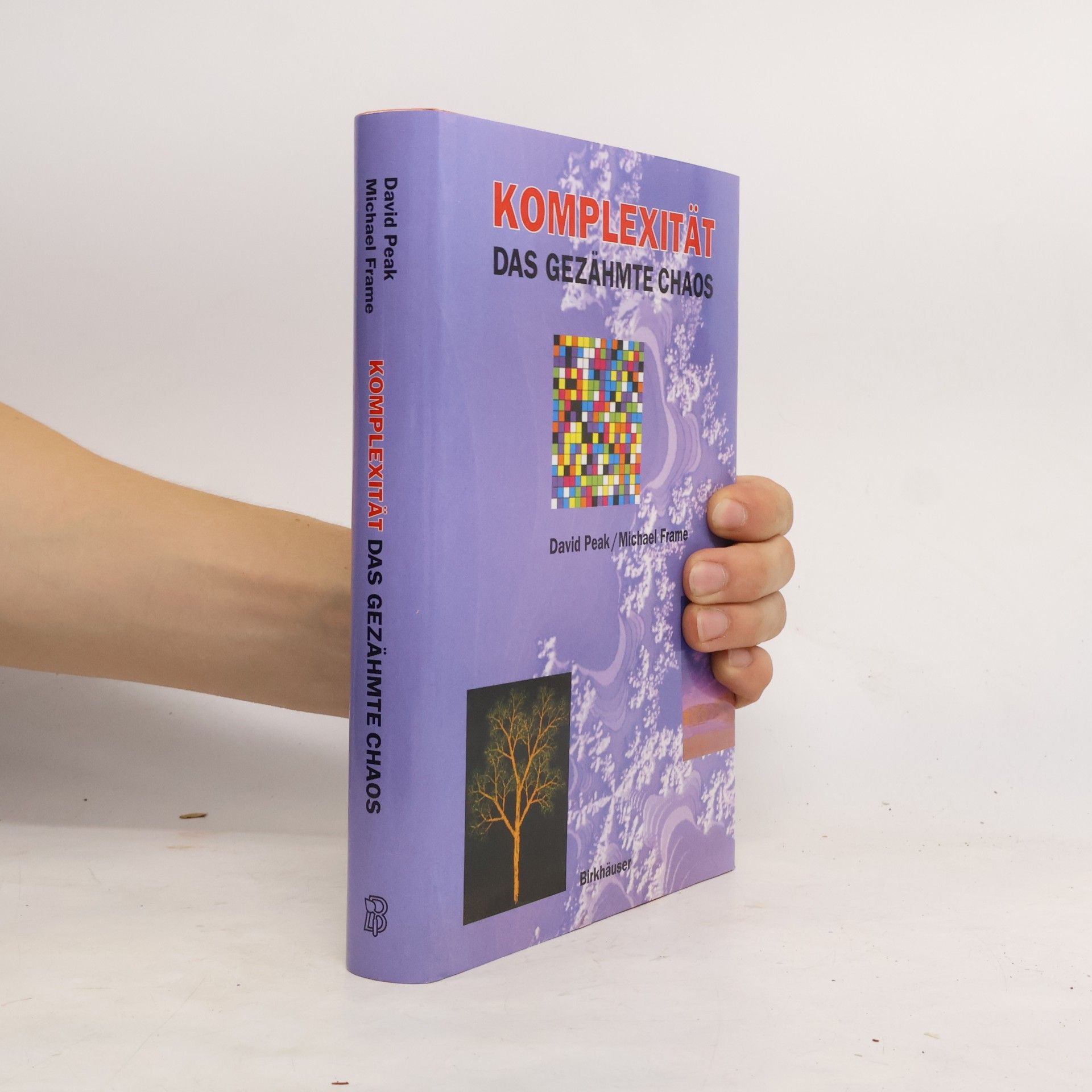 Komplexität - das gezähmte Chaos