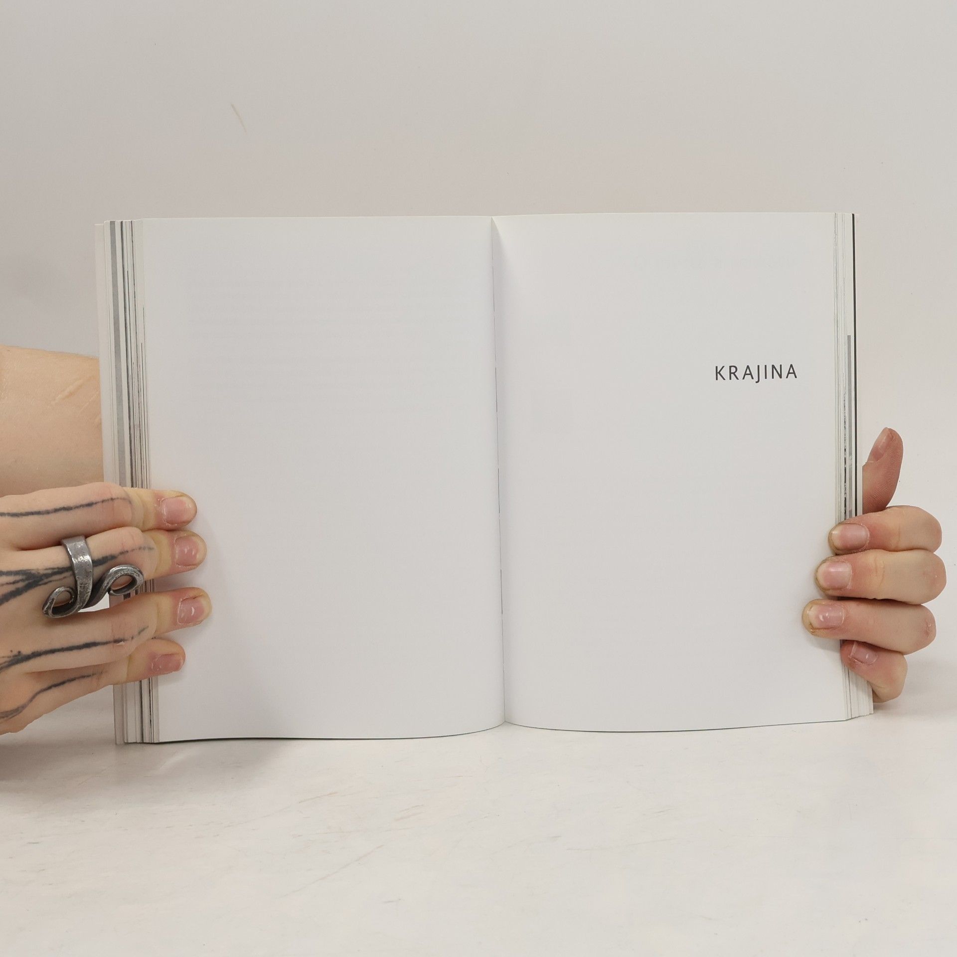 Alain de Botton Umění cestovat