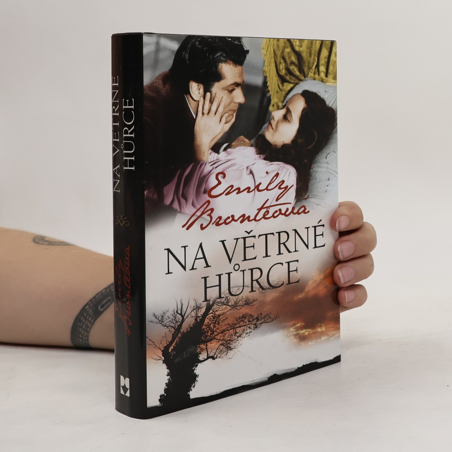 Emily Brontë Na Větrné hůrce