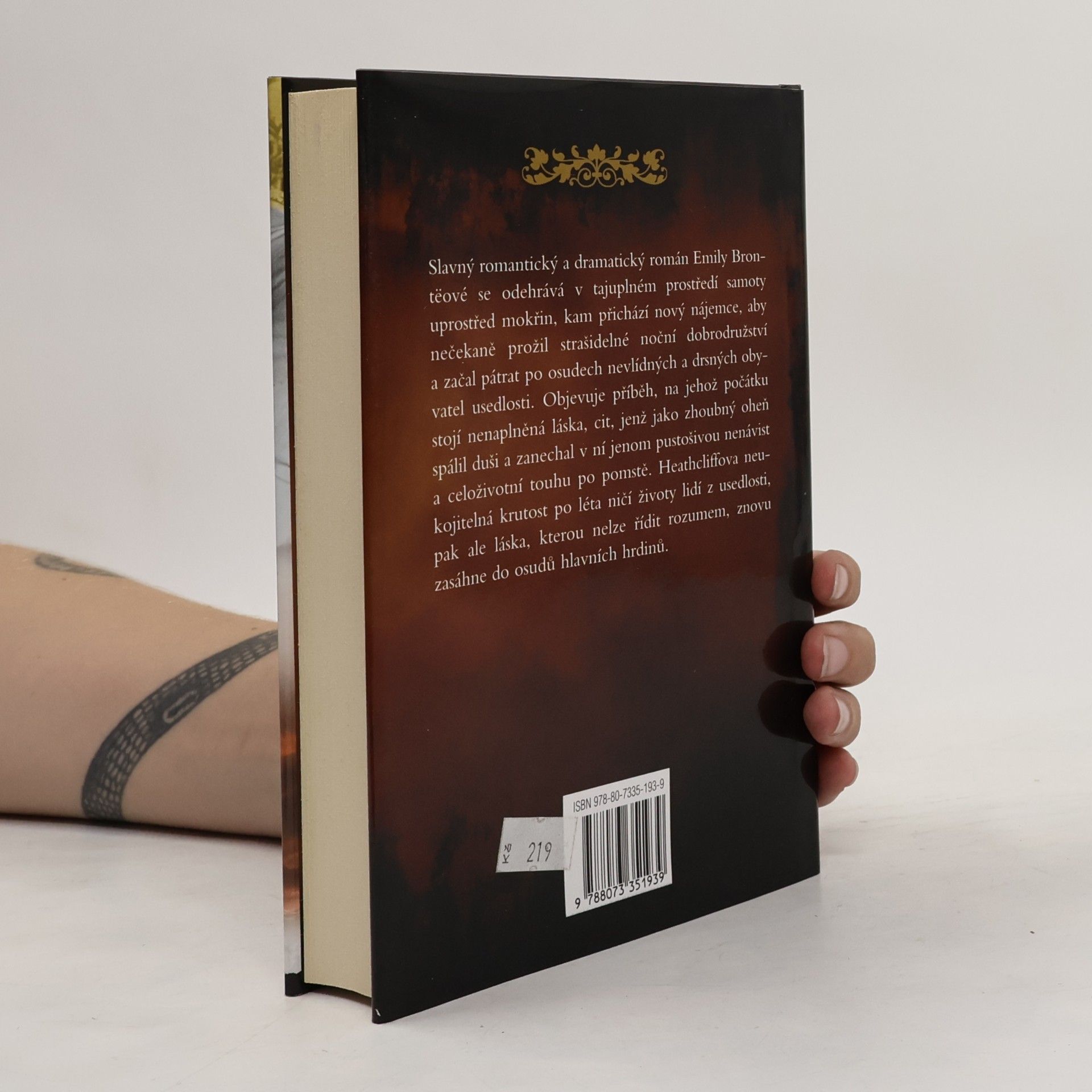 Emily Brontë Na Větrné hůrce