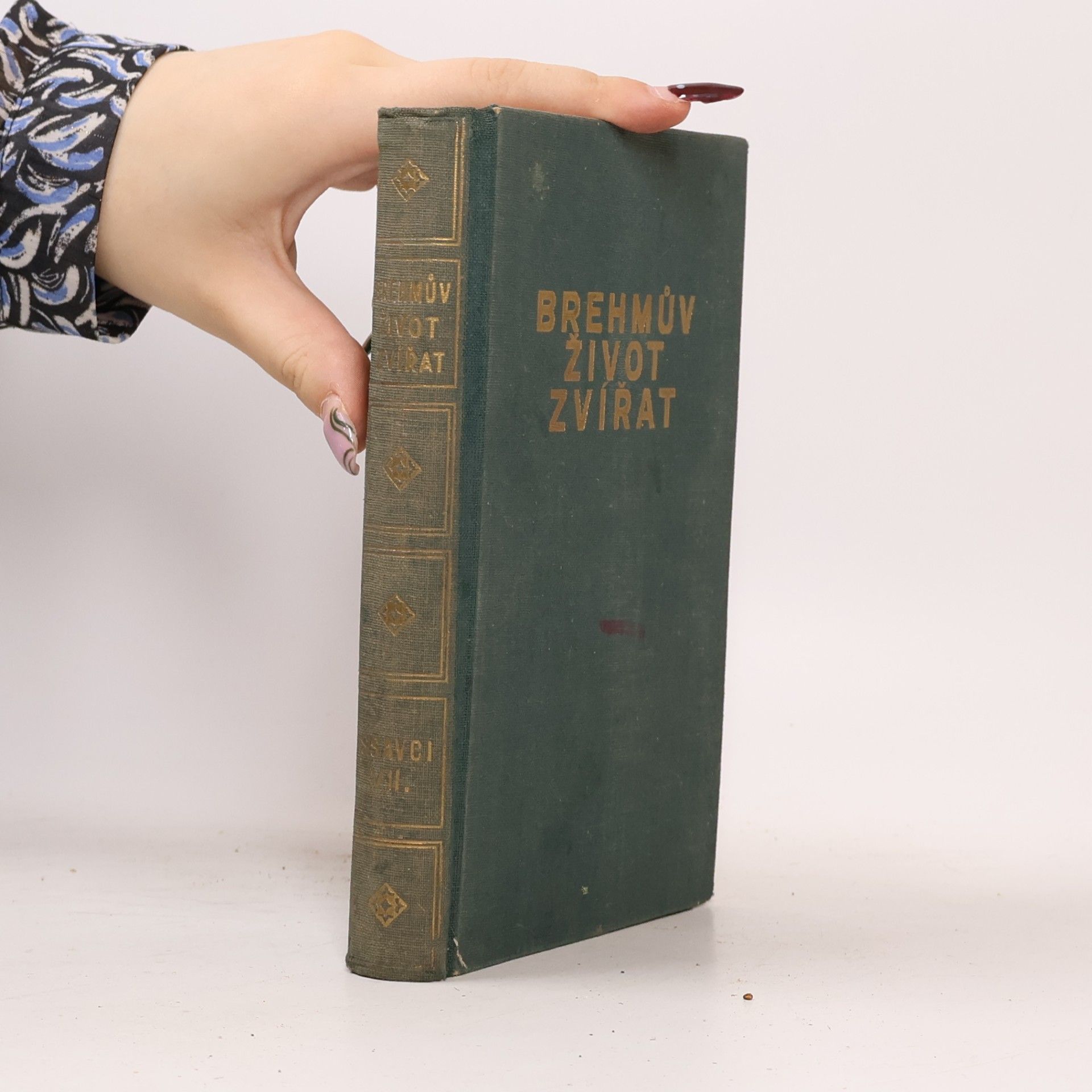 Adolf Meyer Brehmův Život zvířat 13. Ssavci VII