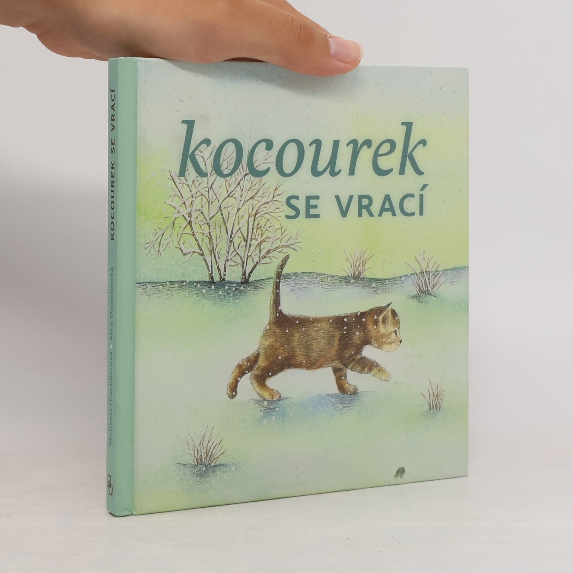 Michaela Hrachovcová Kocourek se vrací