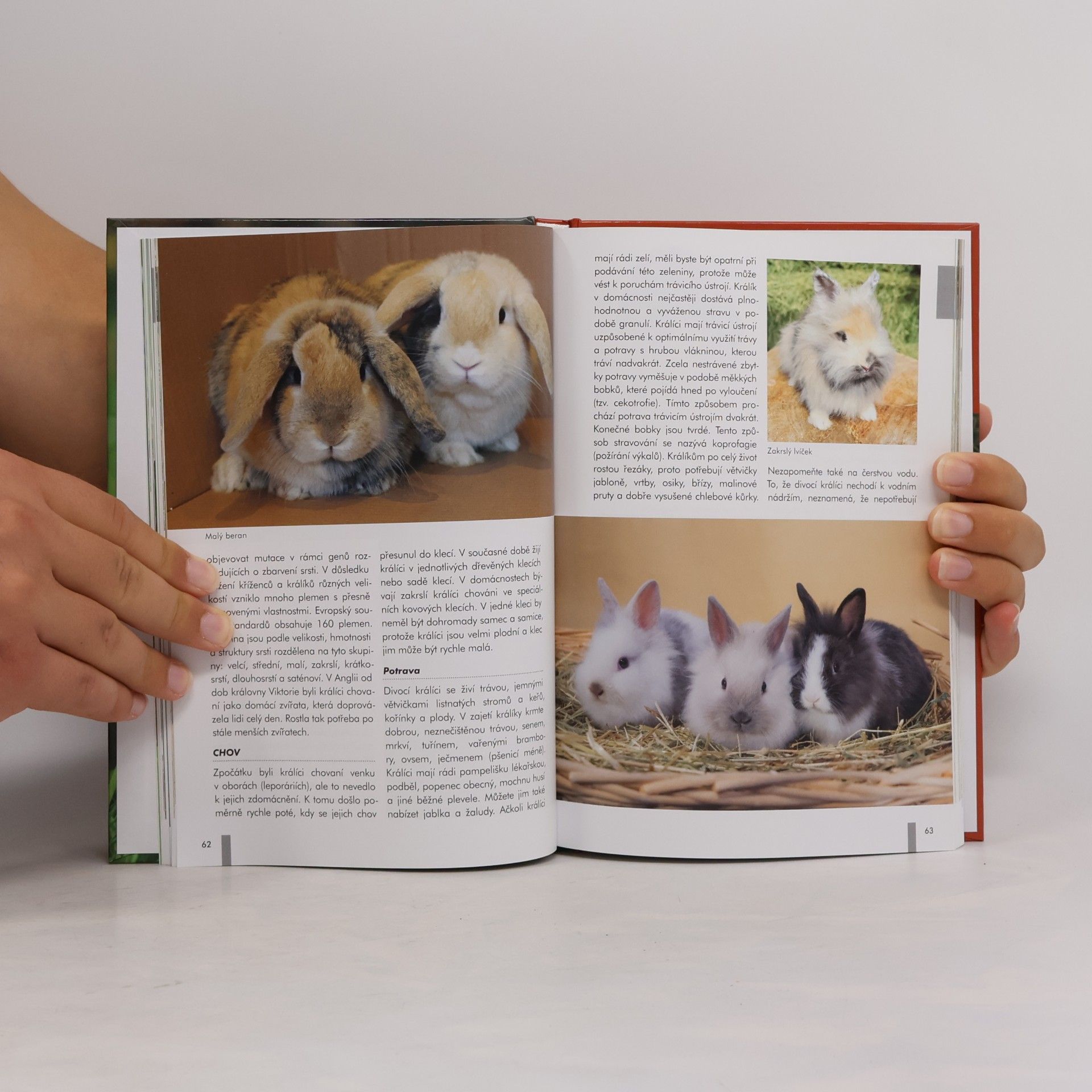 Jarmila Horáková Atlas domácích zvířat : savci, ptáci, hadi