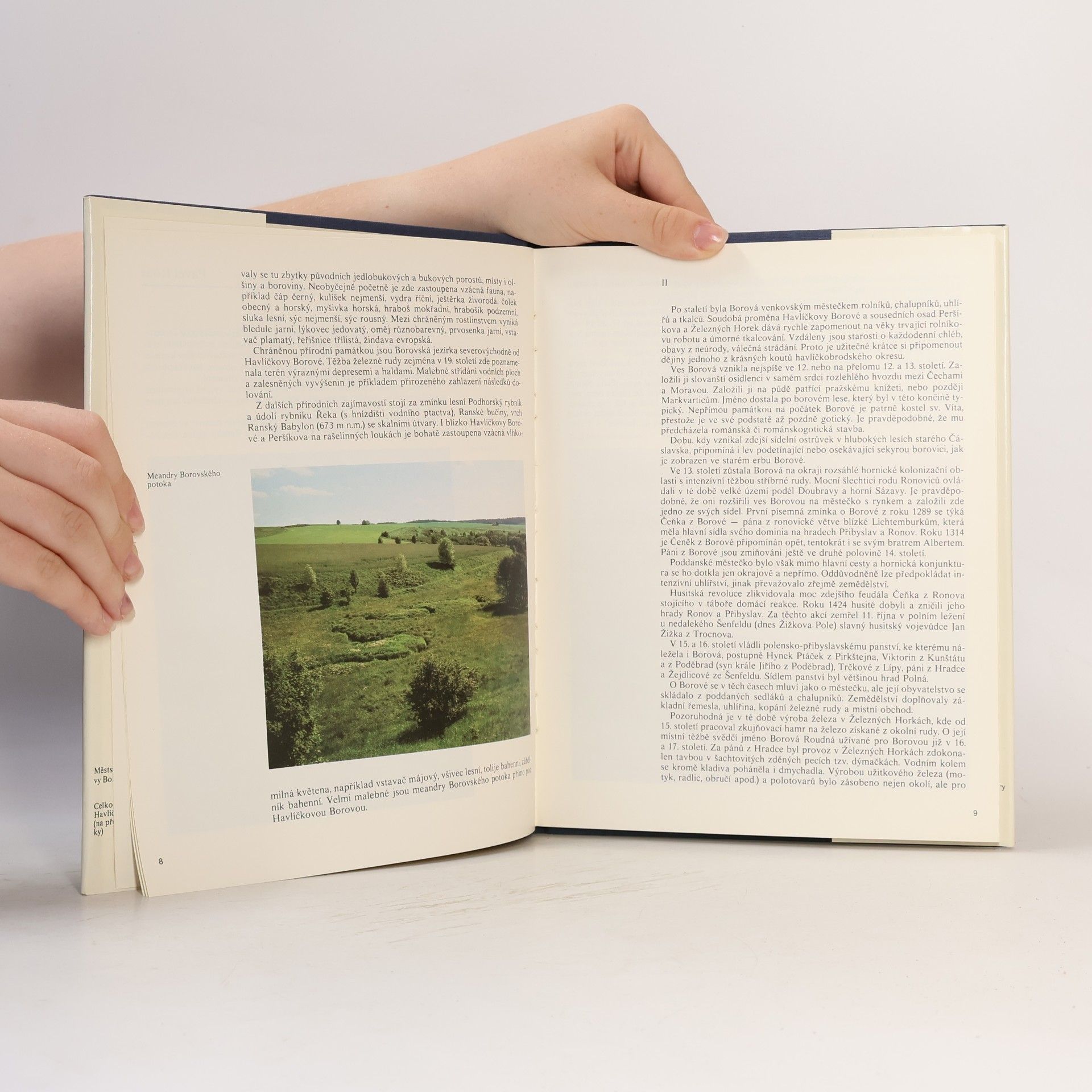 Autorenkollektiv Sedm století Havlíčkovy Borové