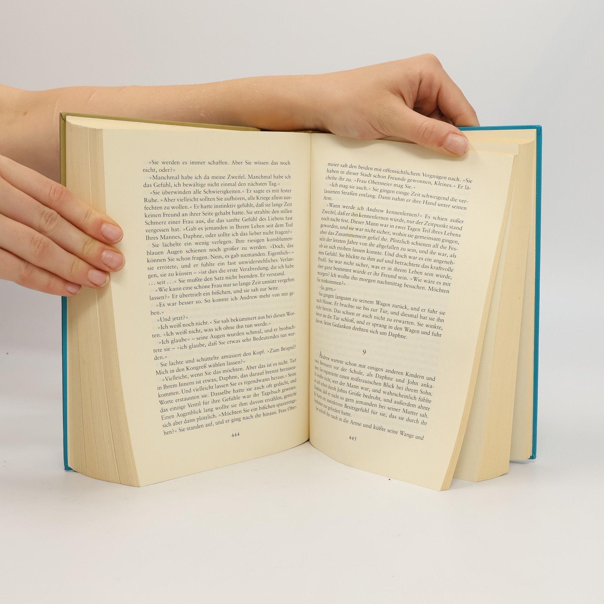 Danielle Steel Töchter der Sehnsucht
