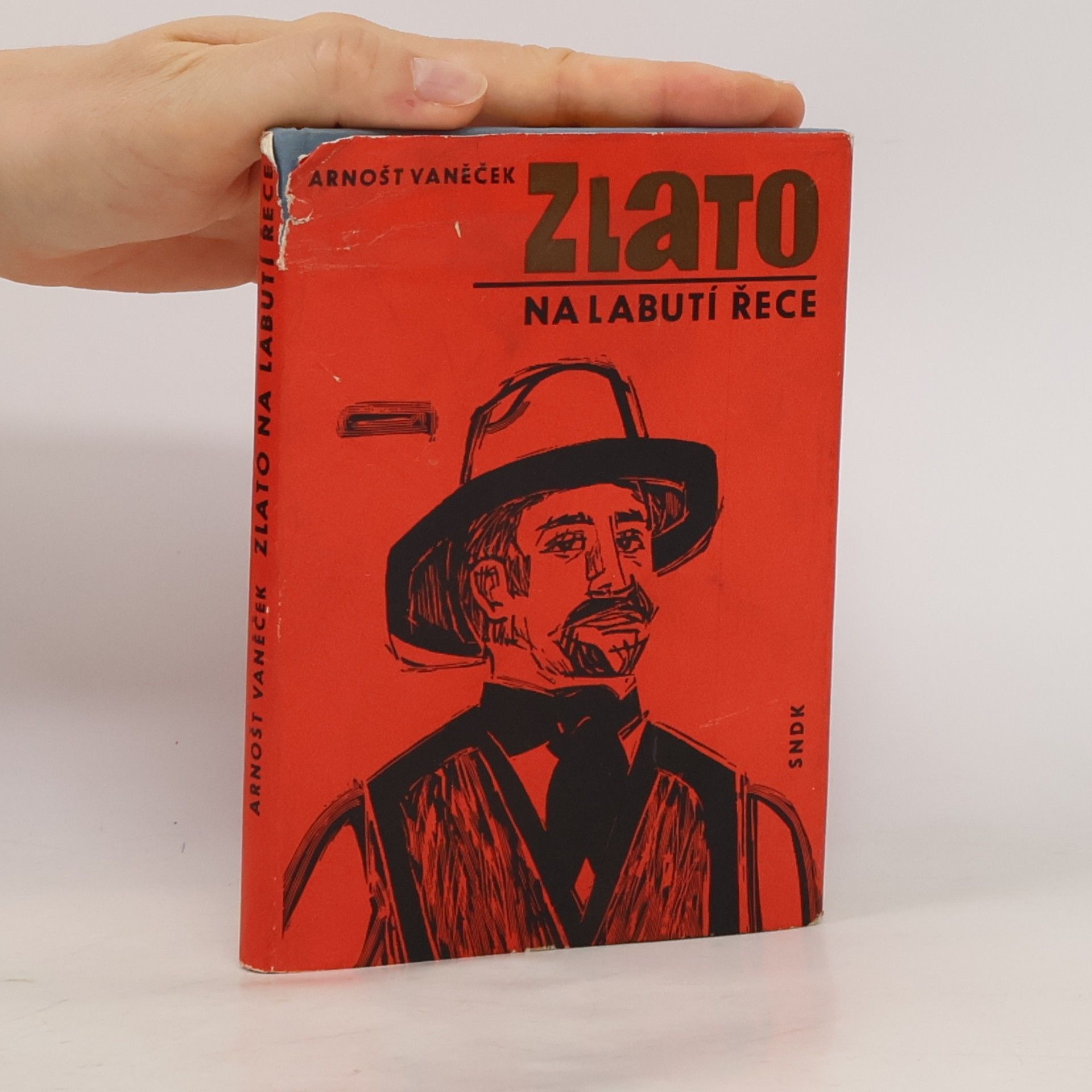 Arnošt Vaněček Zlato na Labutí řece