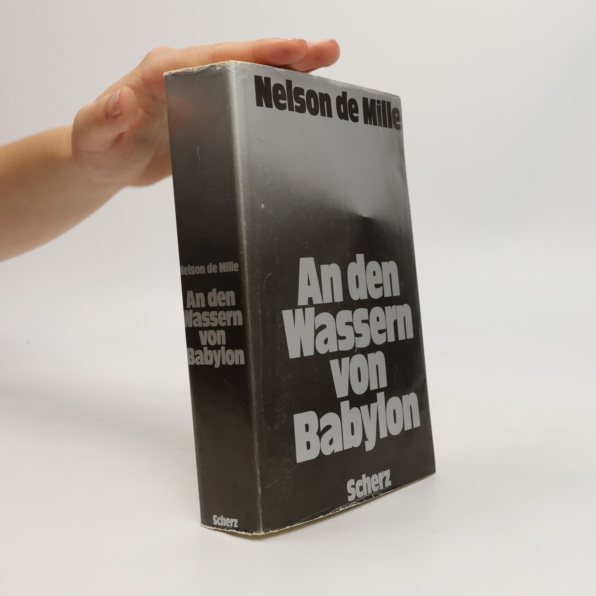 Nelson Richard DeMille An den Wassern von Babylon
