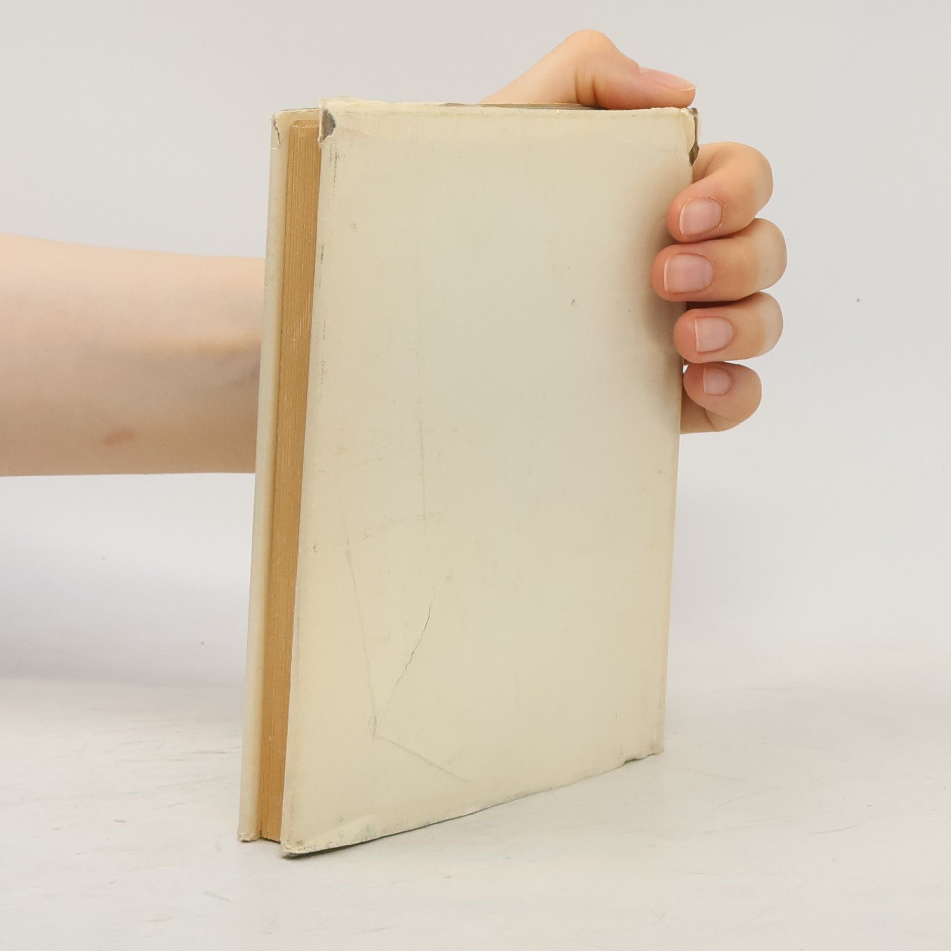 Collectif d'auteurs Wörterbuch Kern Physik Kern Chemie