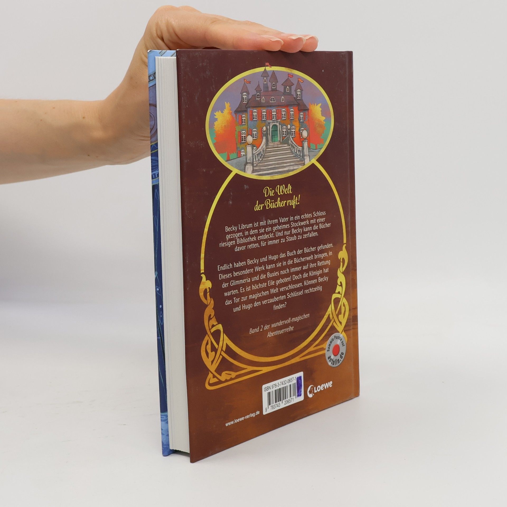 Barbara Rose Das Bücherschloss (Band 2) - Der verzauberte Schlüssel
