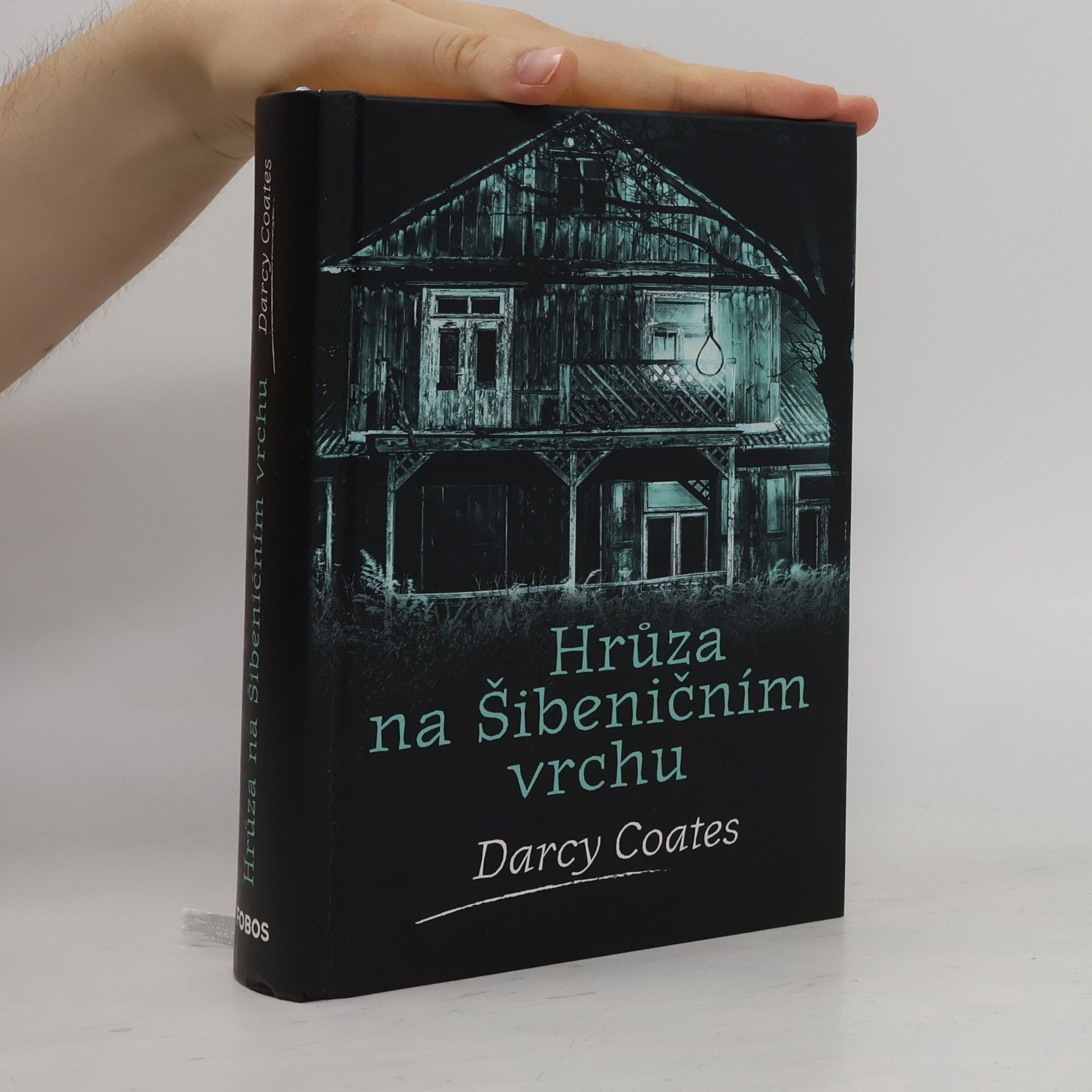 Darcy Coates Hrůza na Šibeničním vrchu