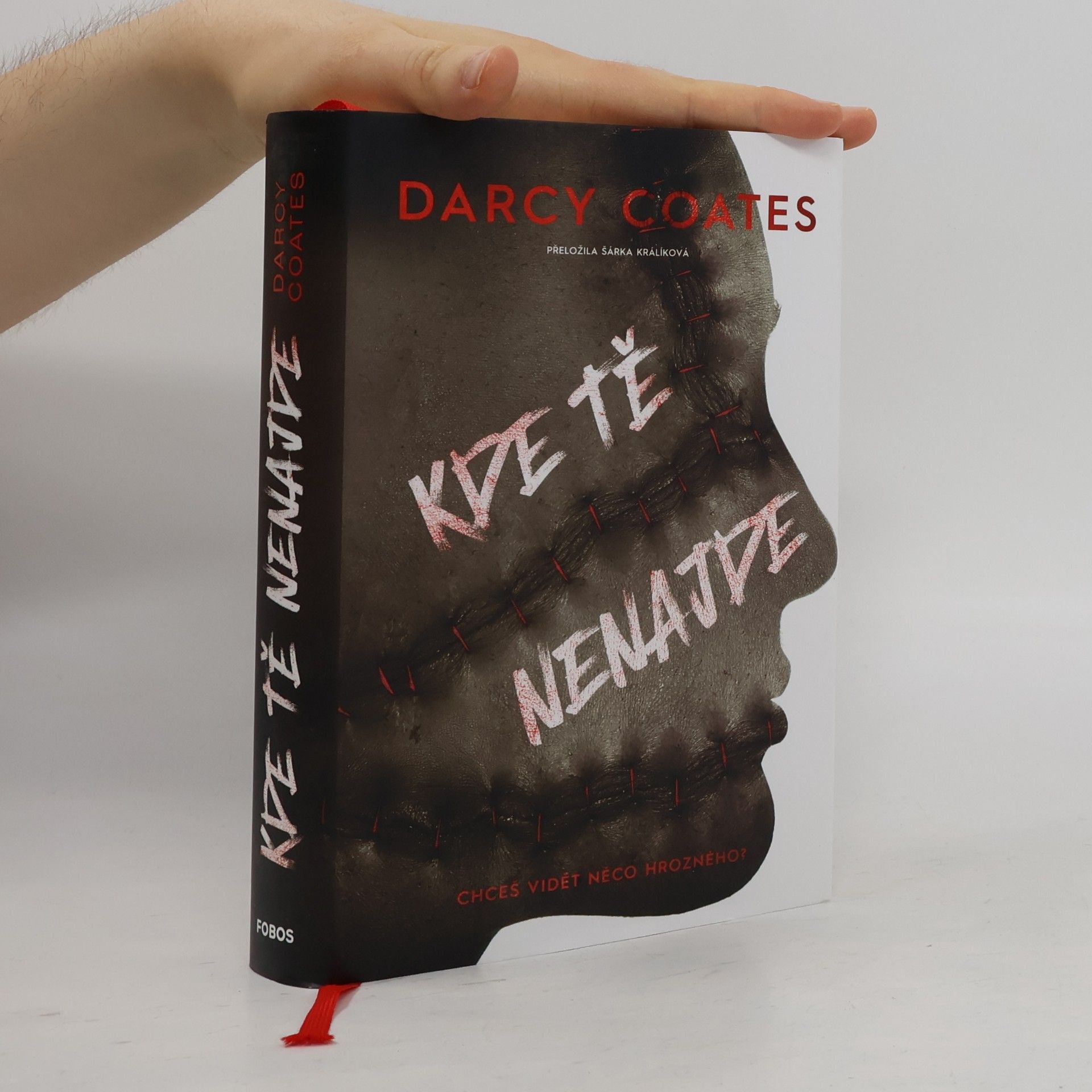 Darcy Coates Kde tě nenajde