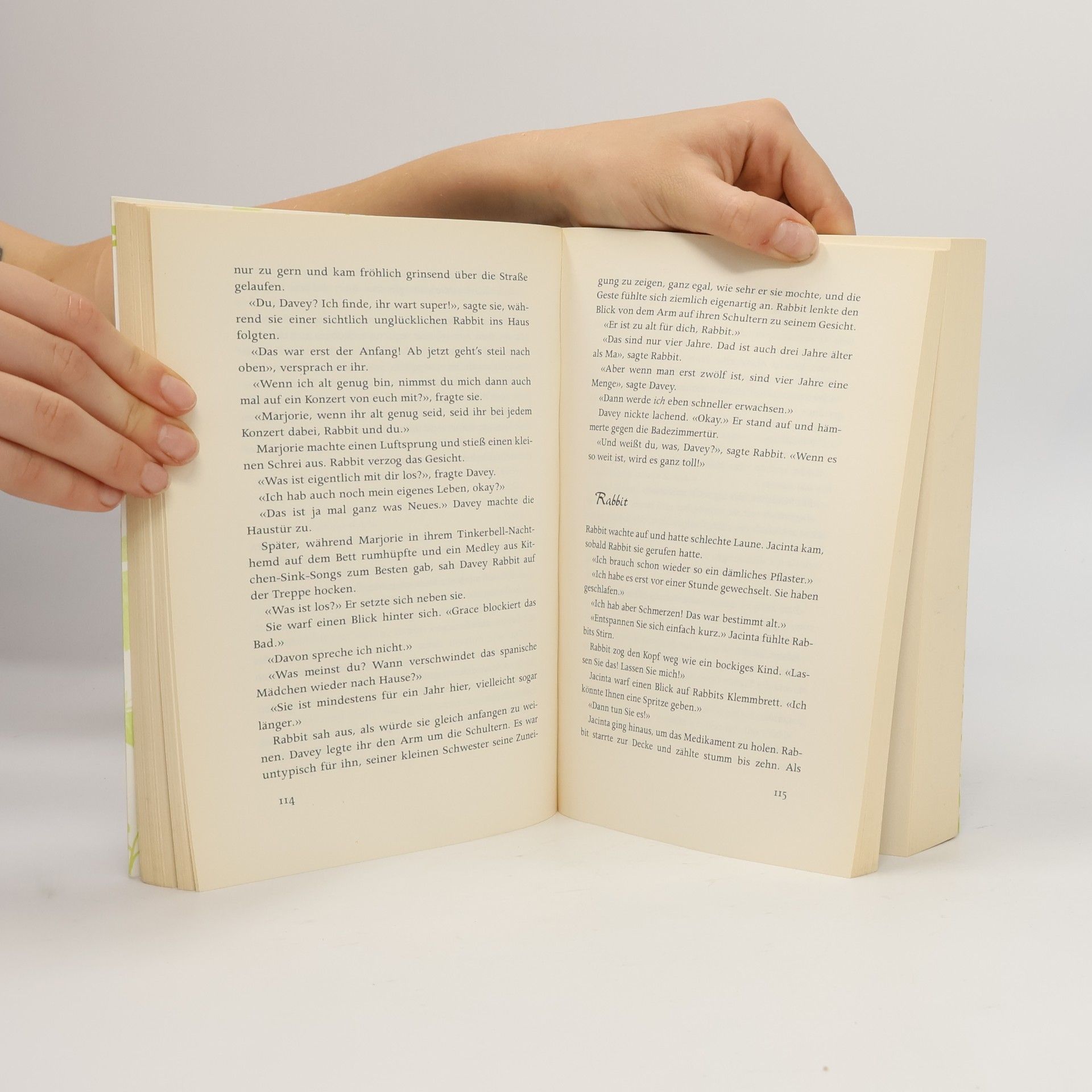 Anna McPartlin Die letzten Tage von Rabbit Hayes