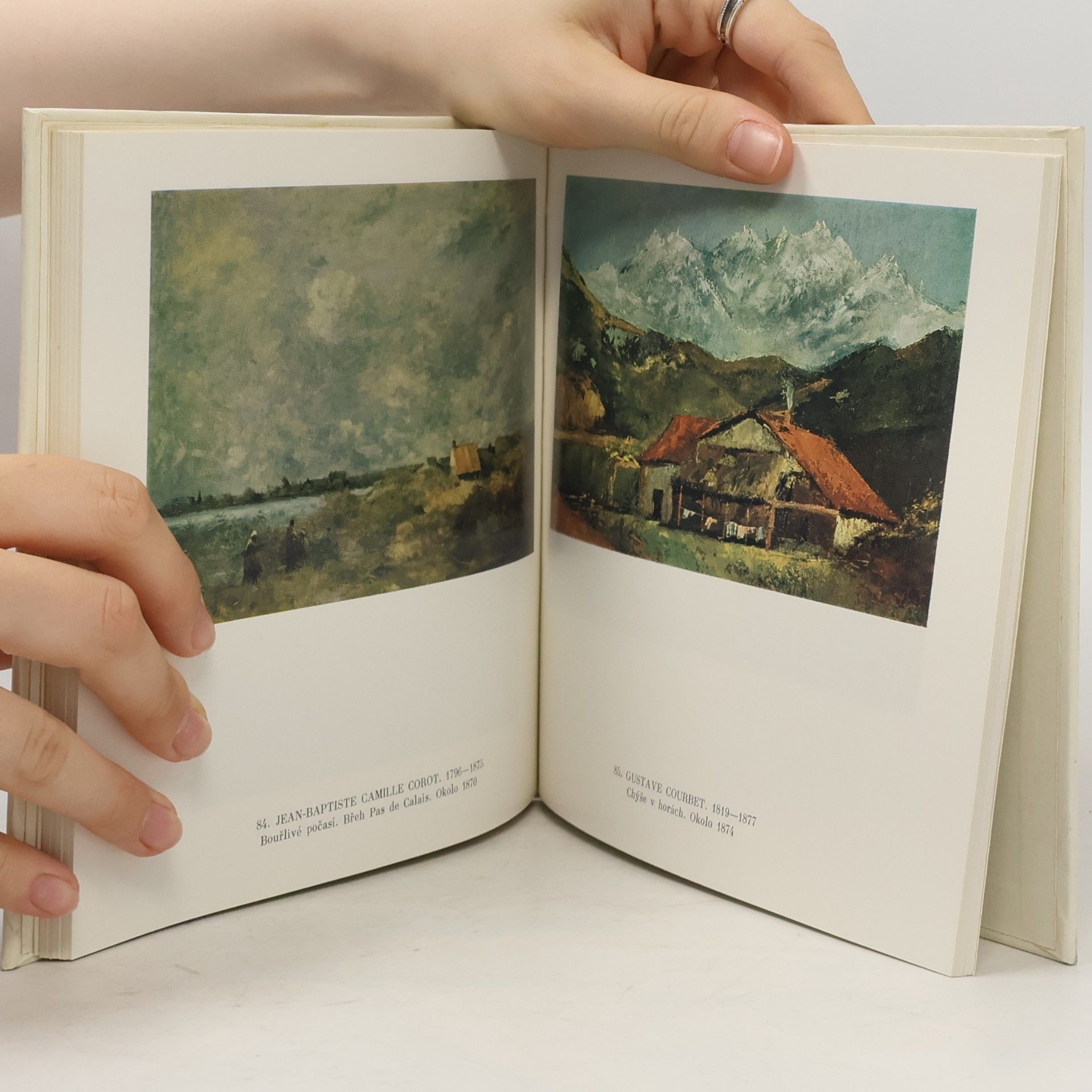 Auteurscollectief Malířství - Státní muzeum výtvarného umění A.S. Puškina
