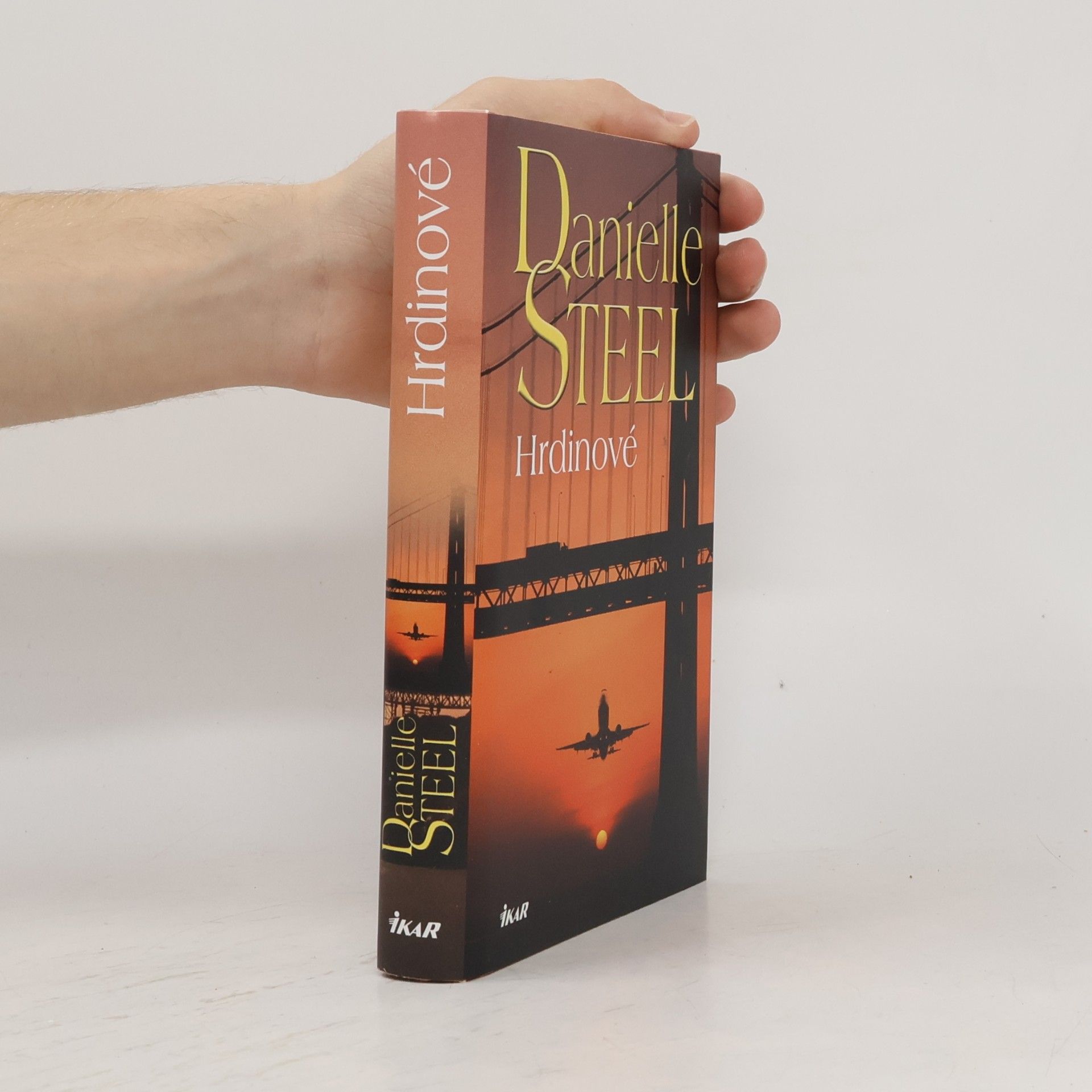 Danielle Steel Hrdinové