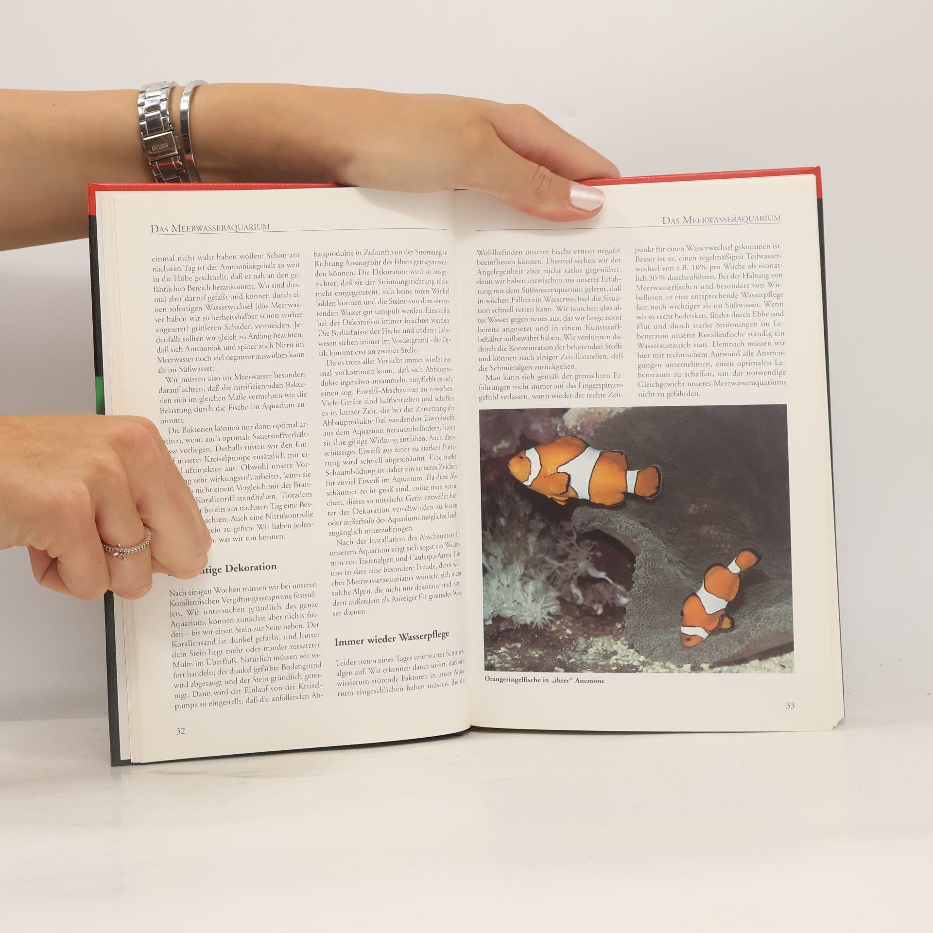 Barron Benno ter Höfte Gesund wie der Fisch im Wasser? Neuauflage 2001